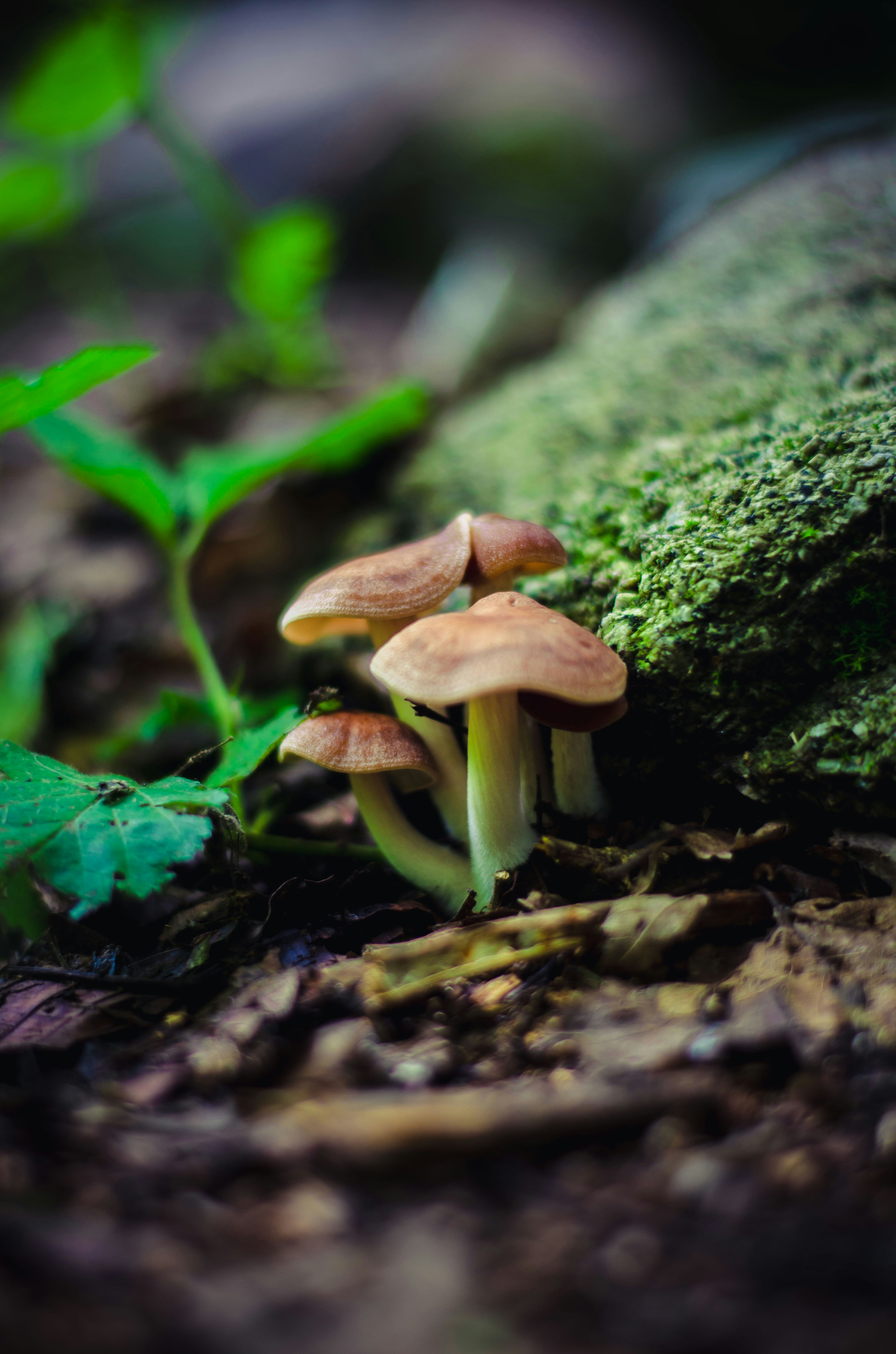 Photo by m_mohammadpour