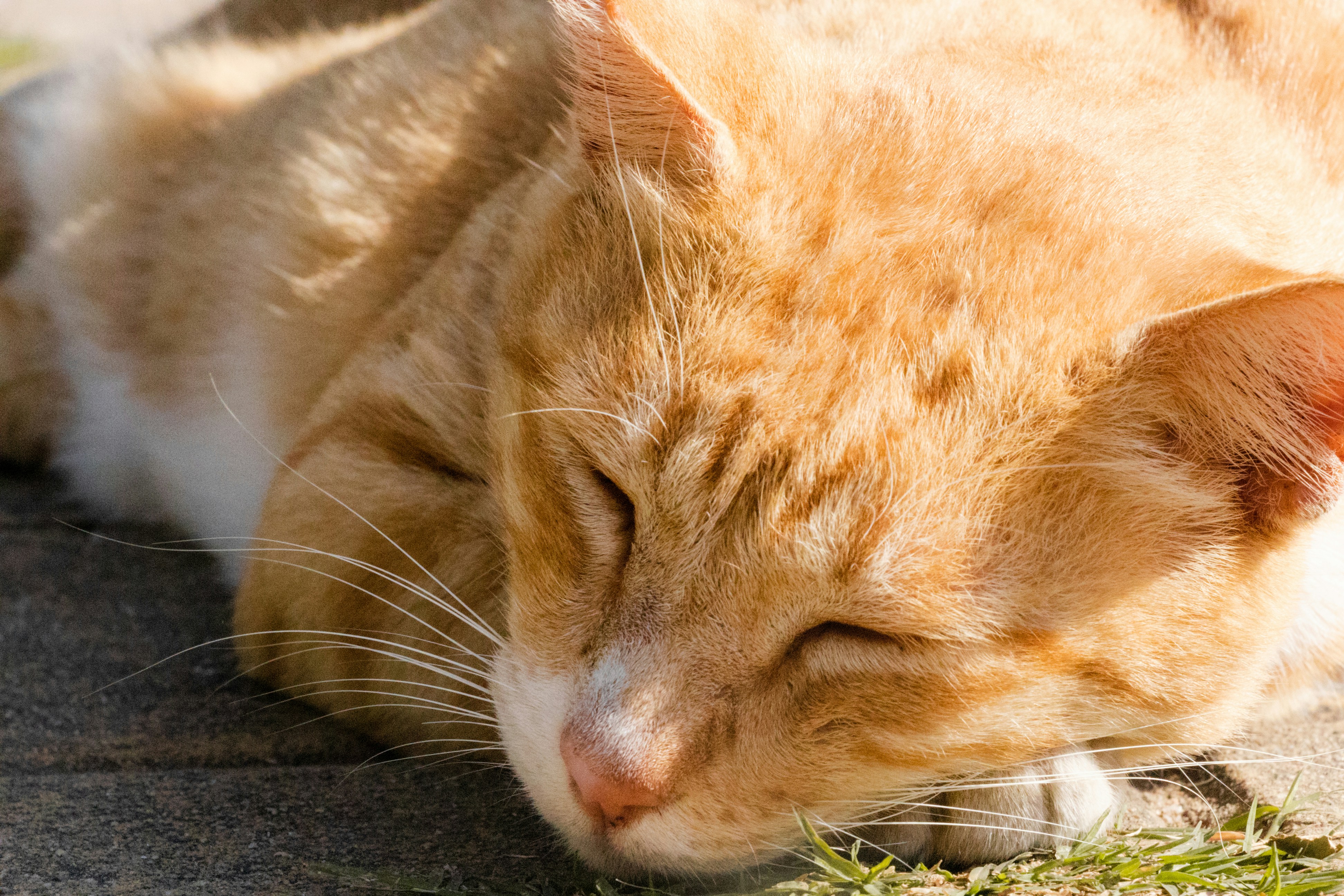 Photo by chingwai0820