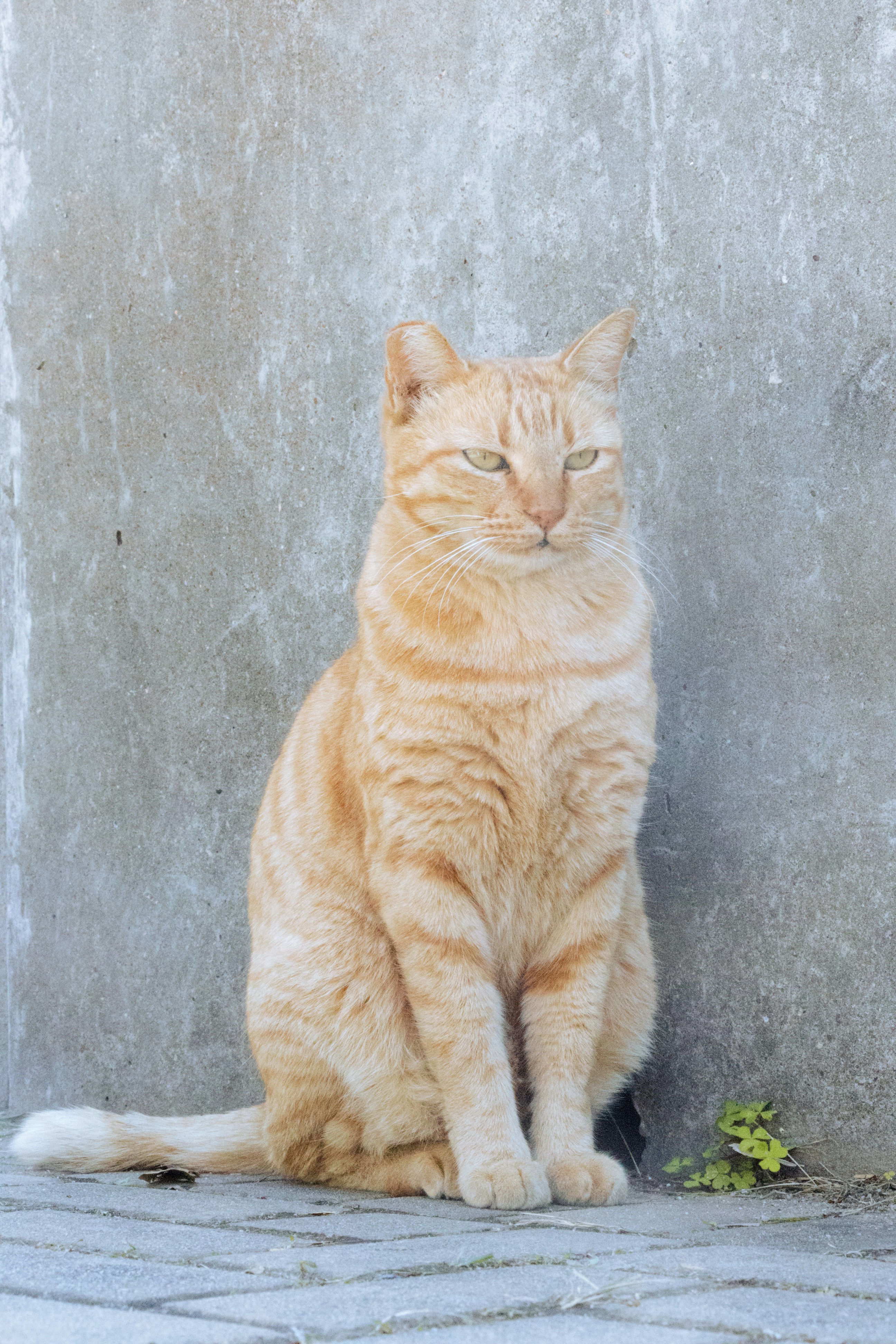 Photo by chingwai0820