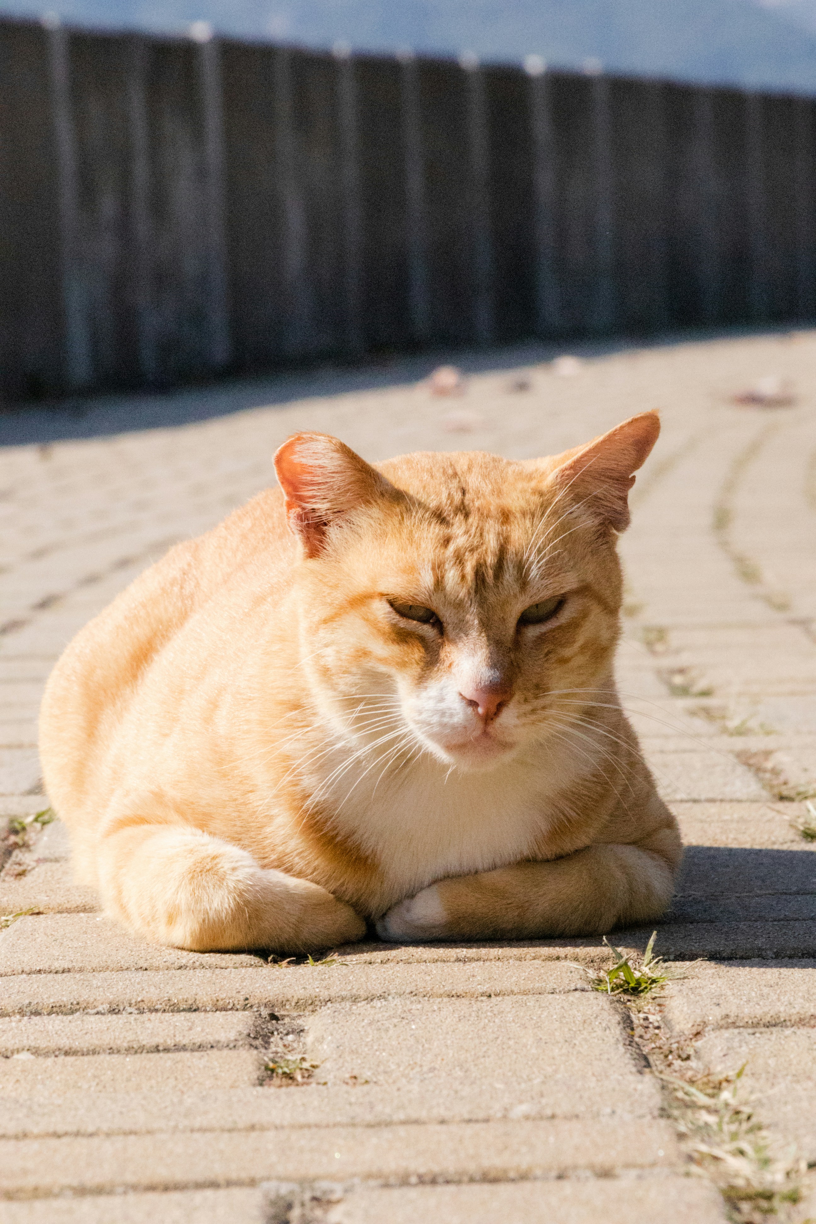 Photo by chingwai0820