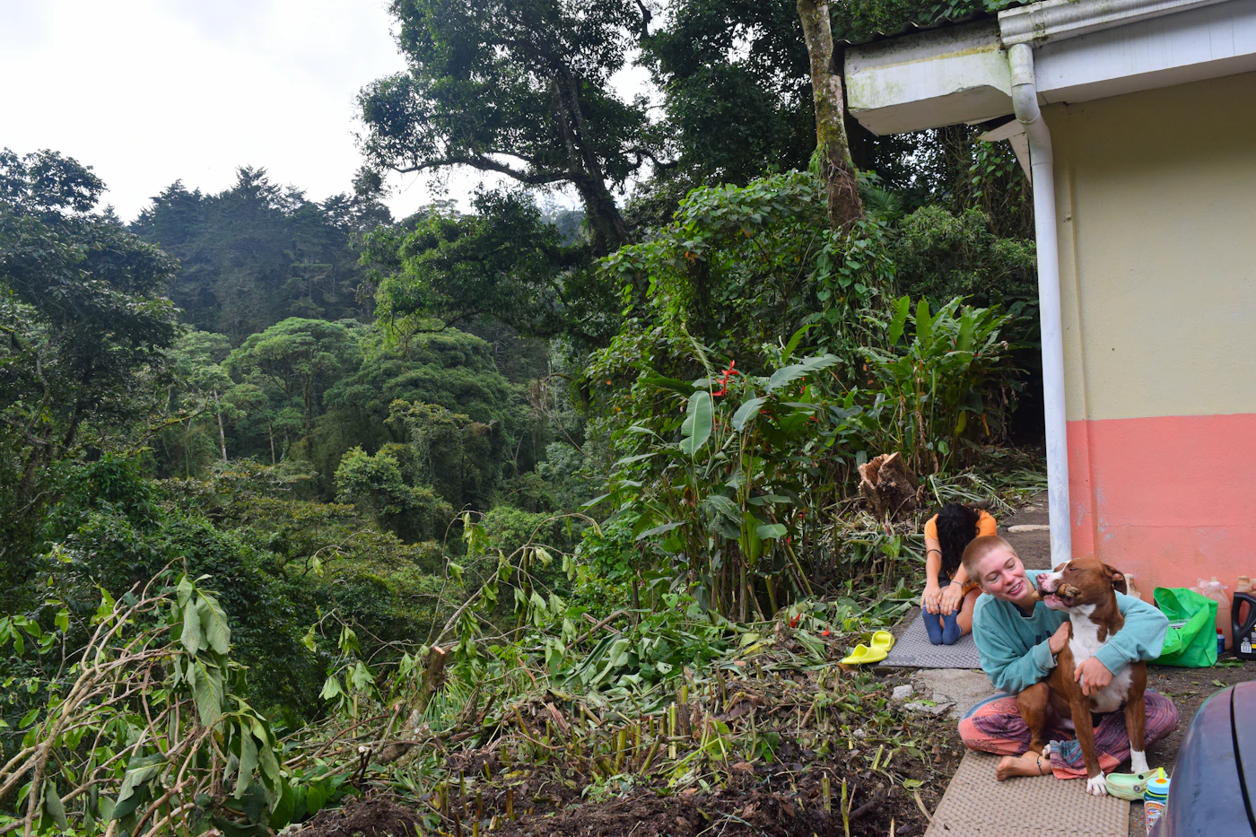 A person sitting on a porch hugging a brown dog with a green forested hillside stretching behind them