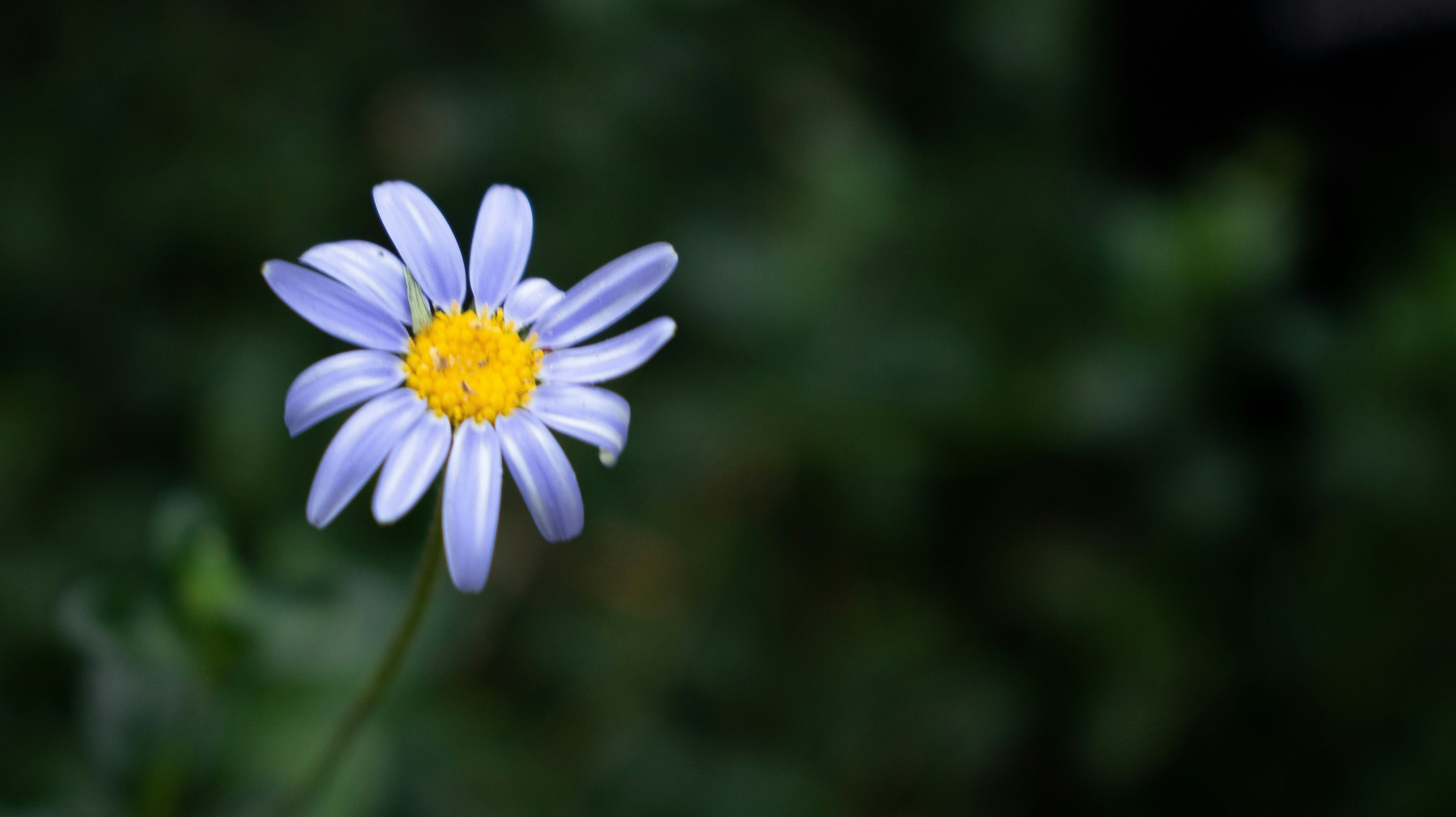 Photo by chingwai0820