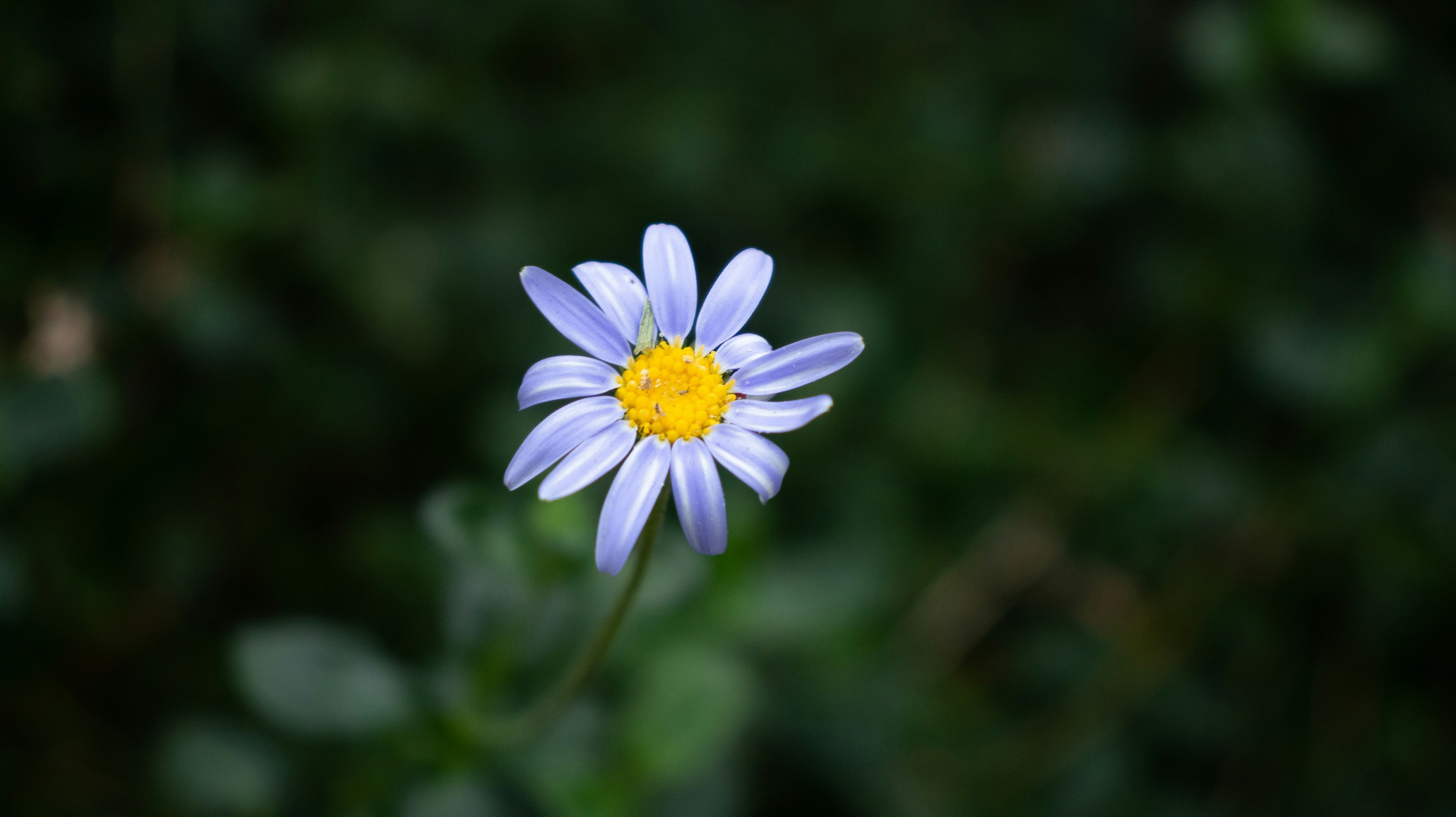 Photo by chingwai0820