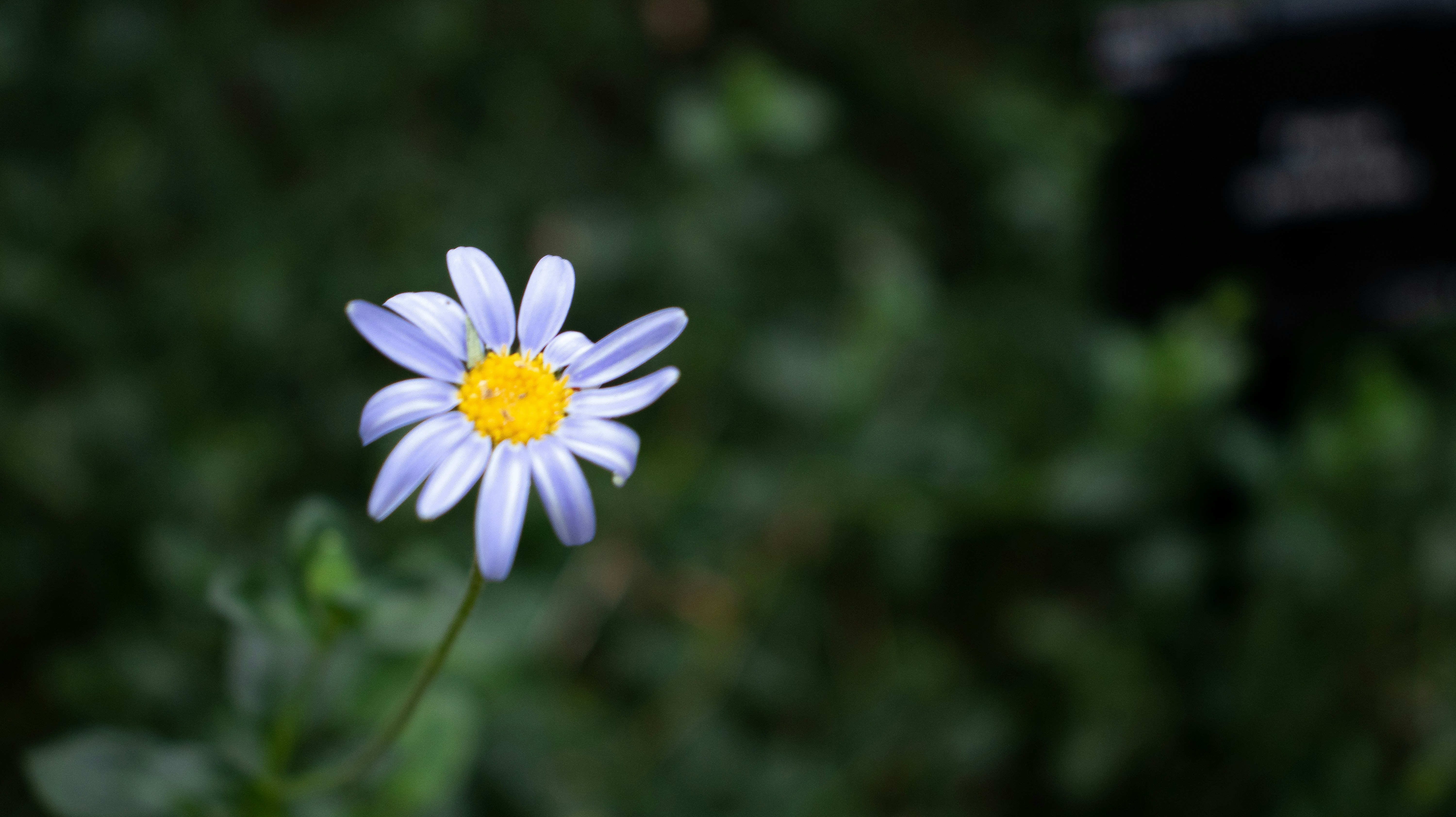 Photo by chingwai0820