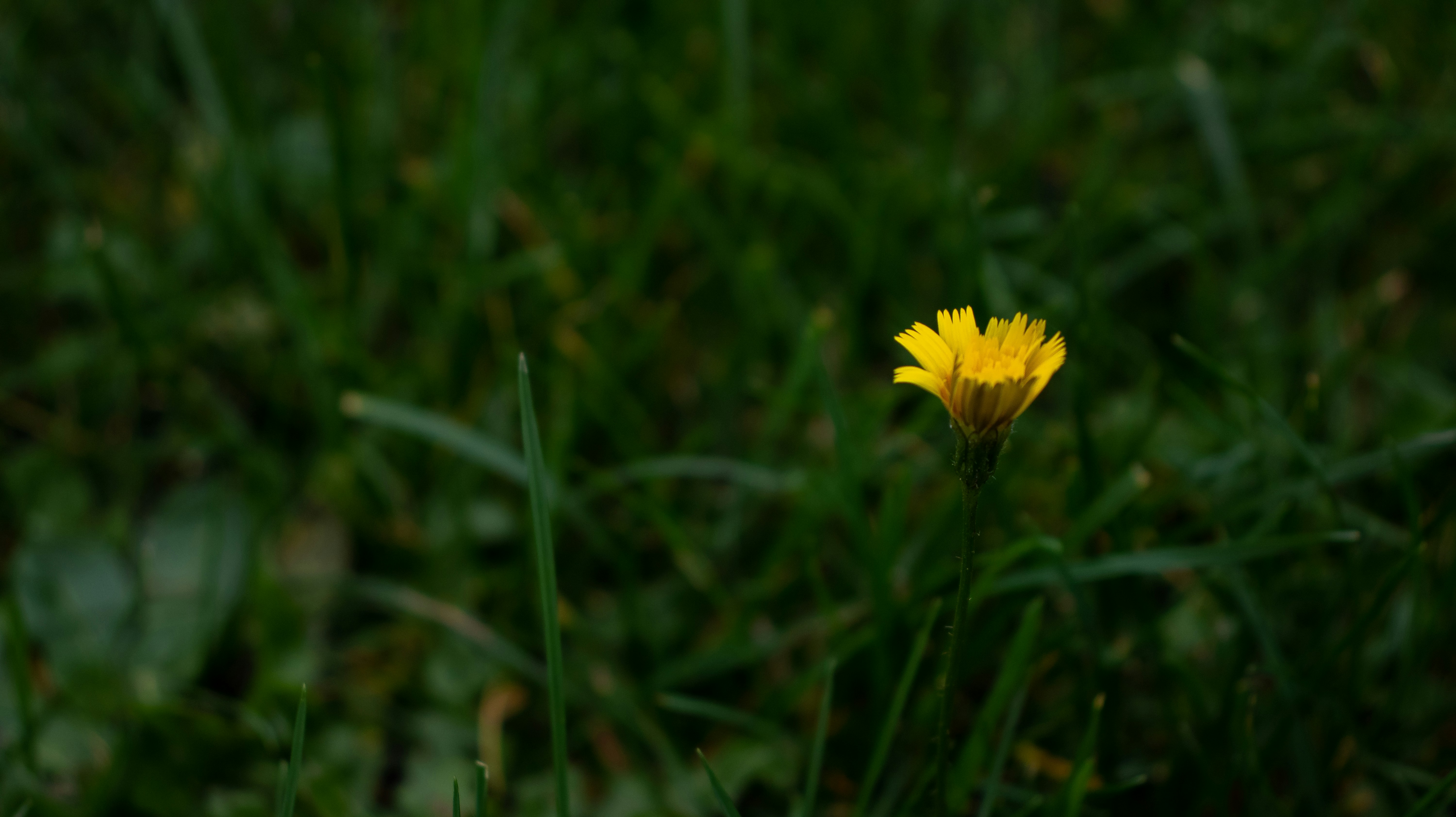 Photo by chingwai0820