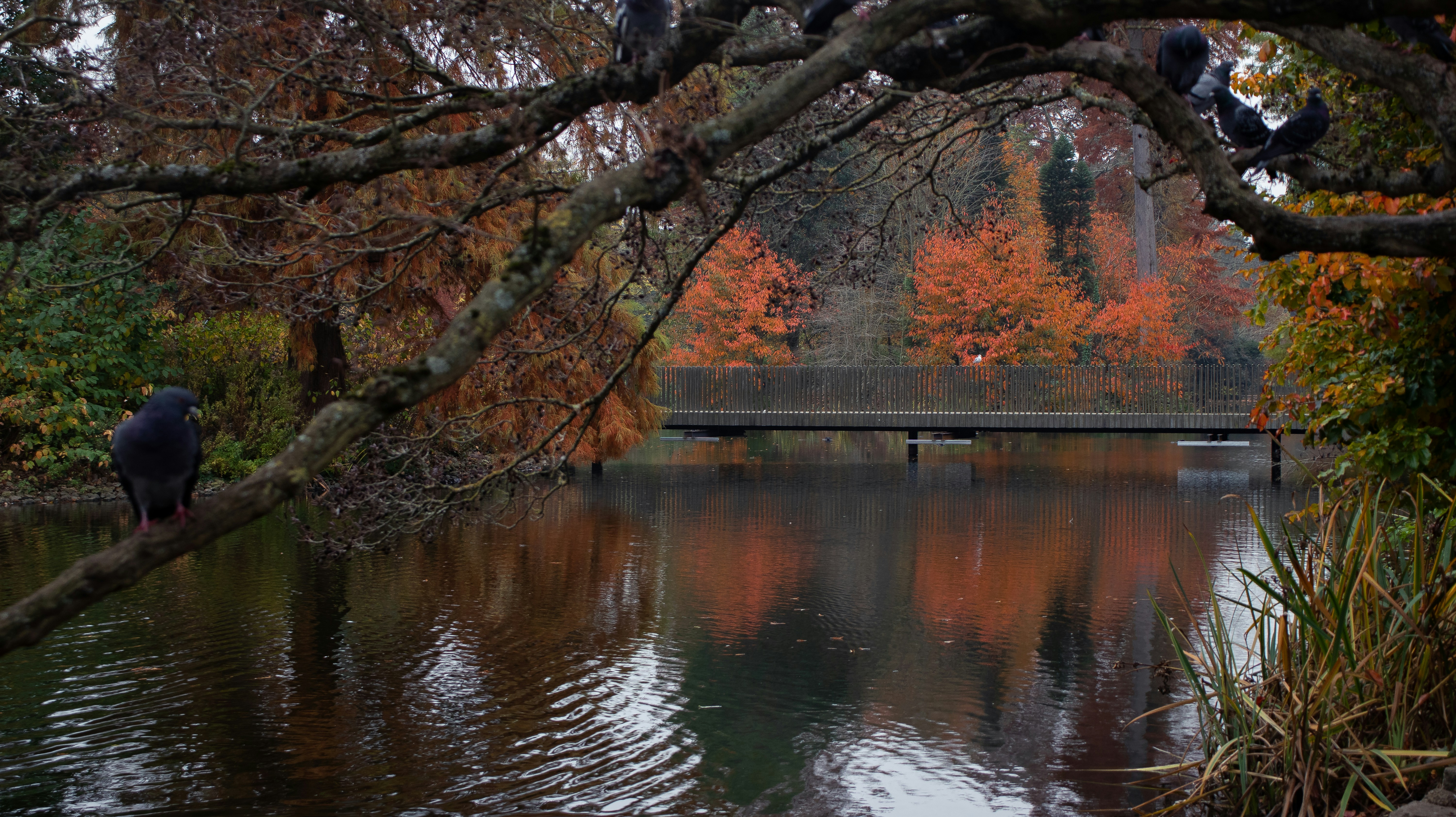 Photo by chingwai0820