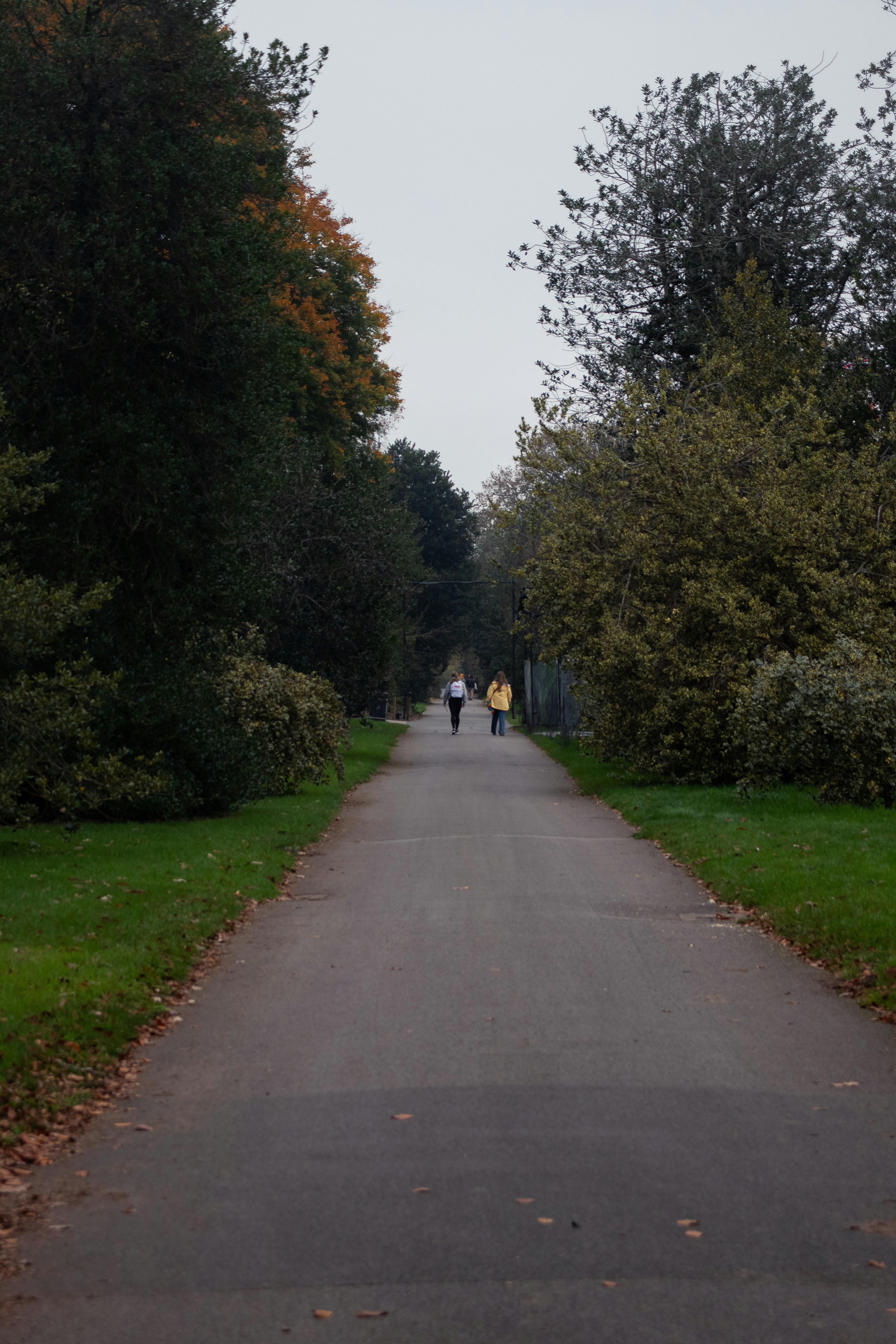 Photo by chingwai0820