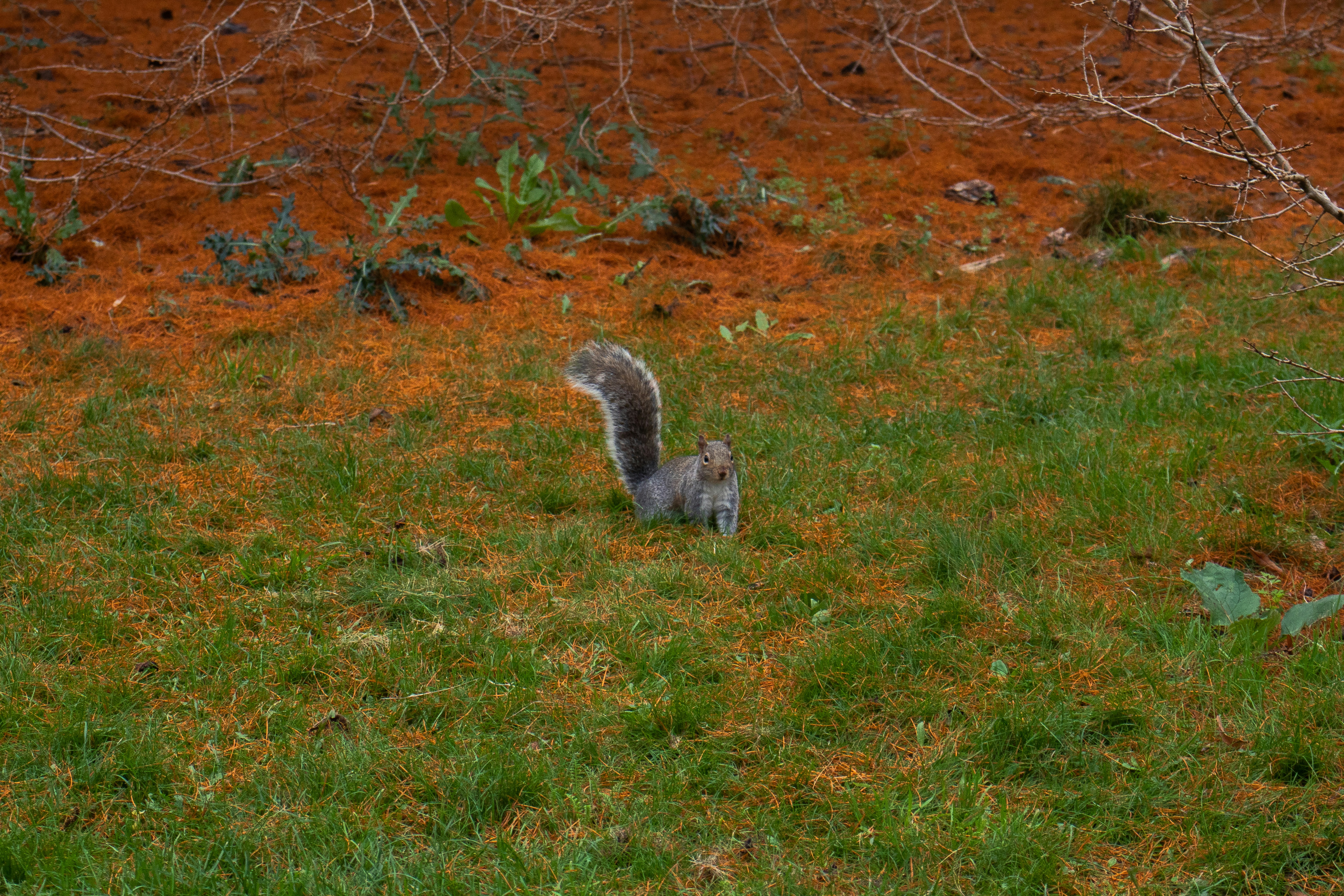 Photo by chingwai0820