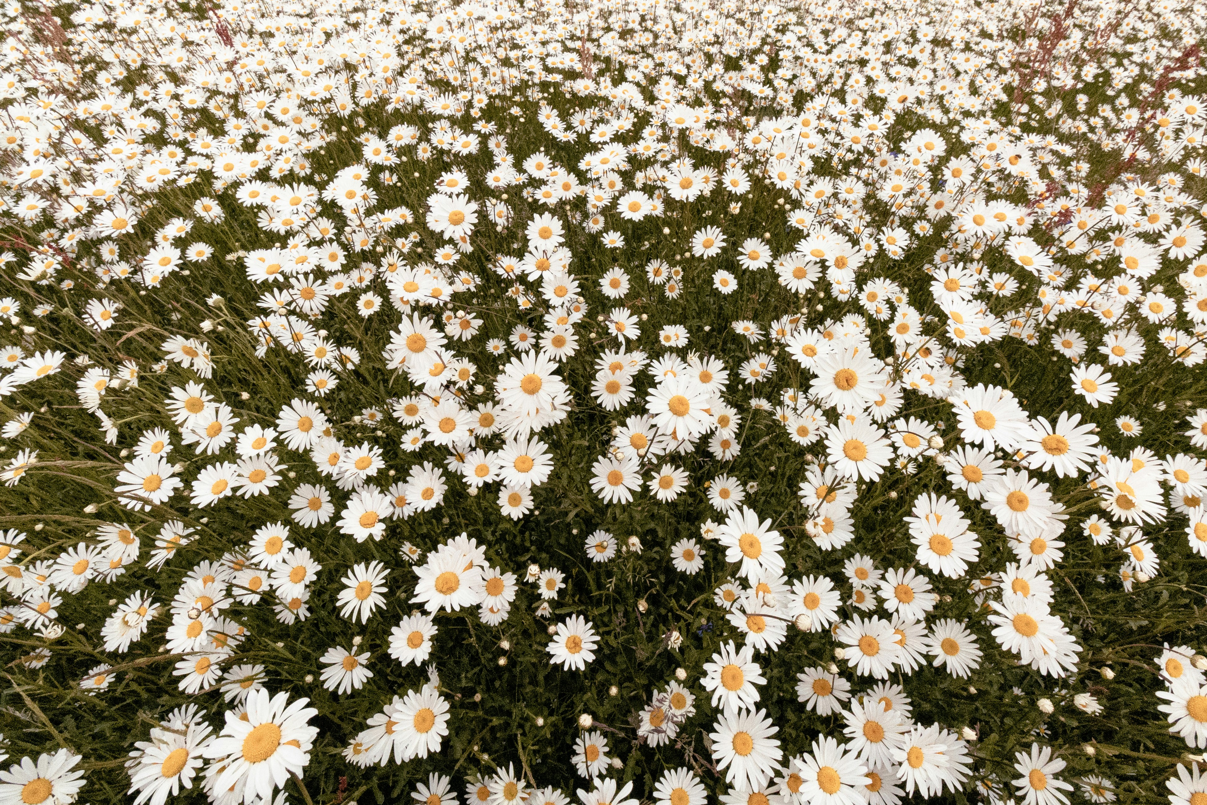 Photo by chingwai0820