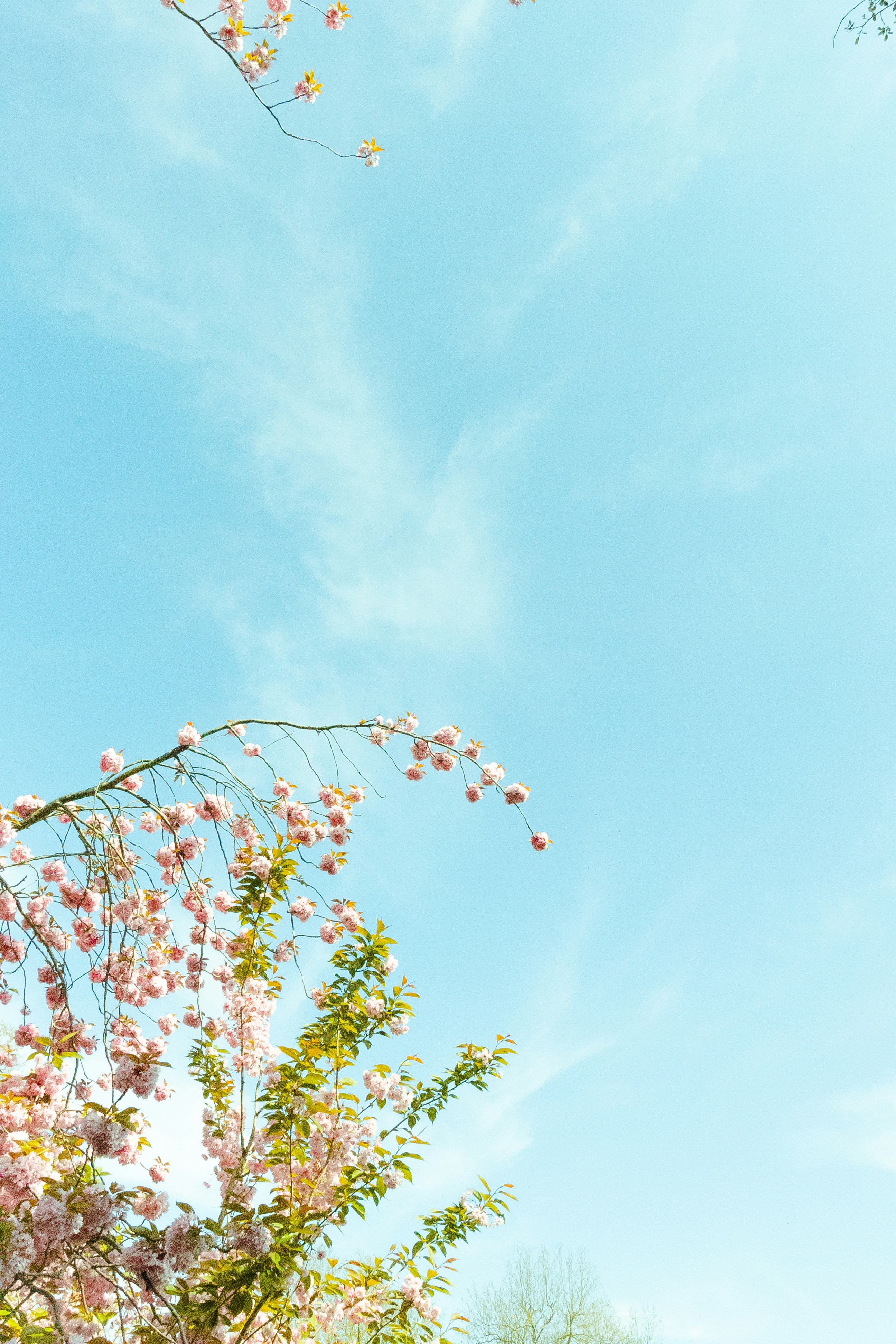 Photo by chingwai0820