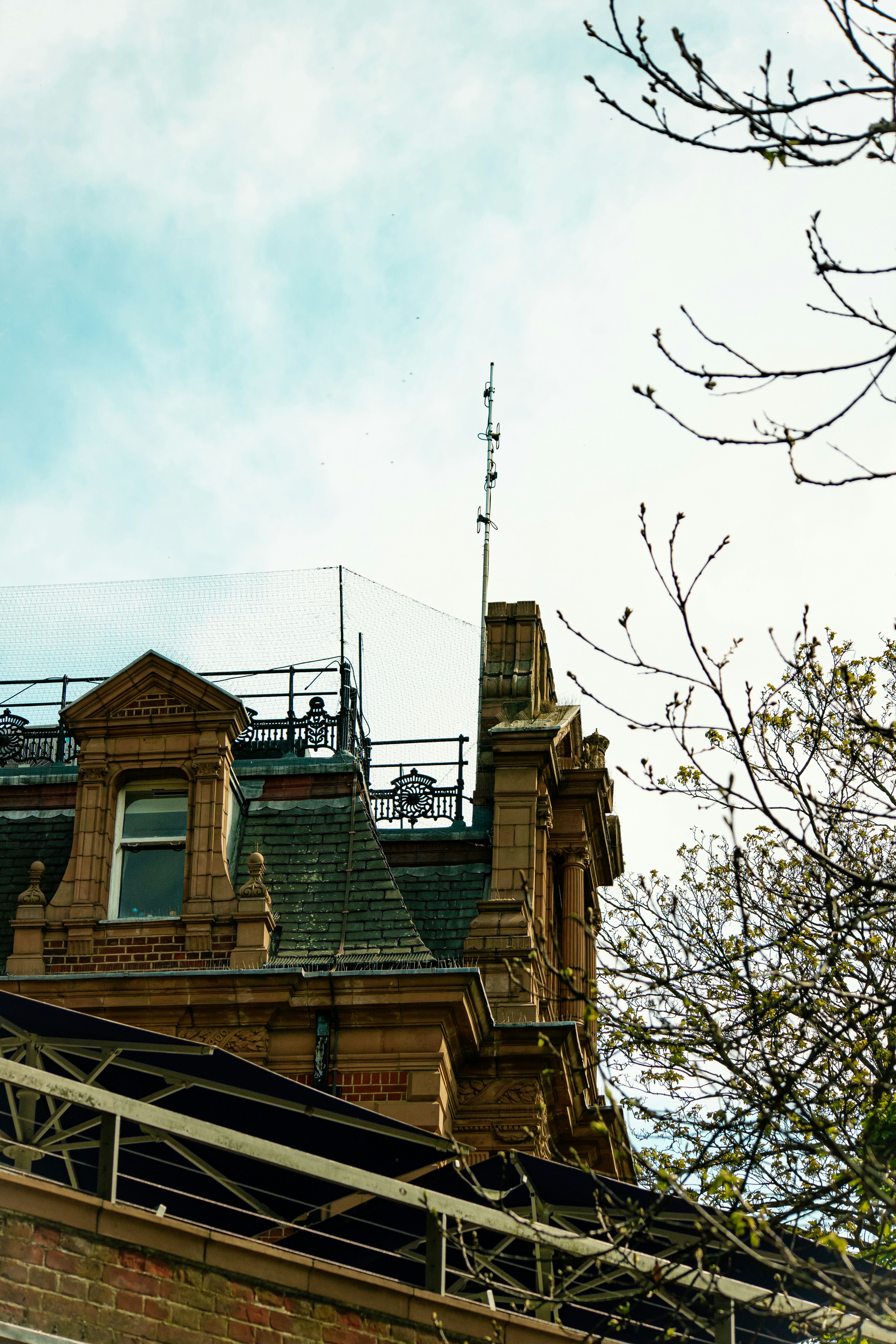 A detailed view of a historic building's roof.