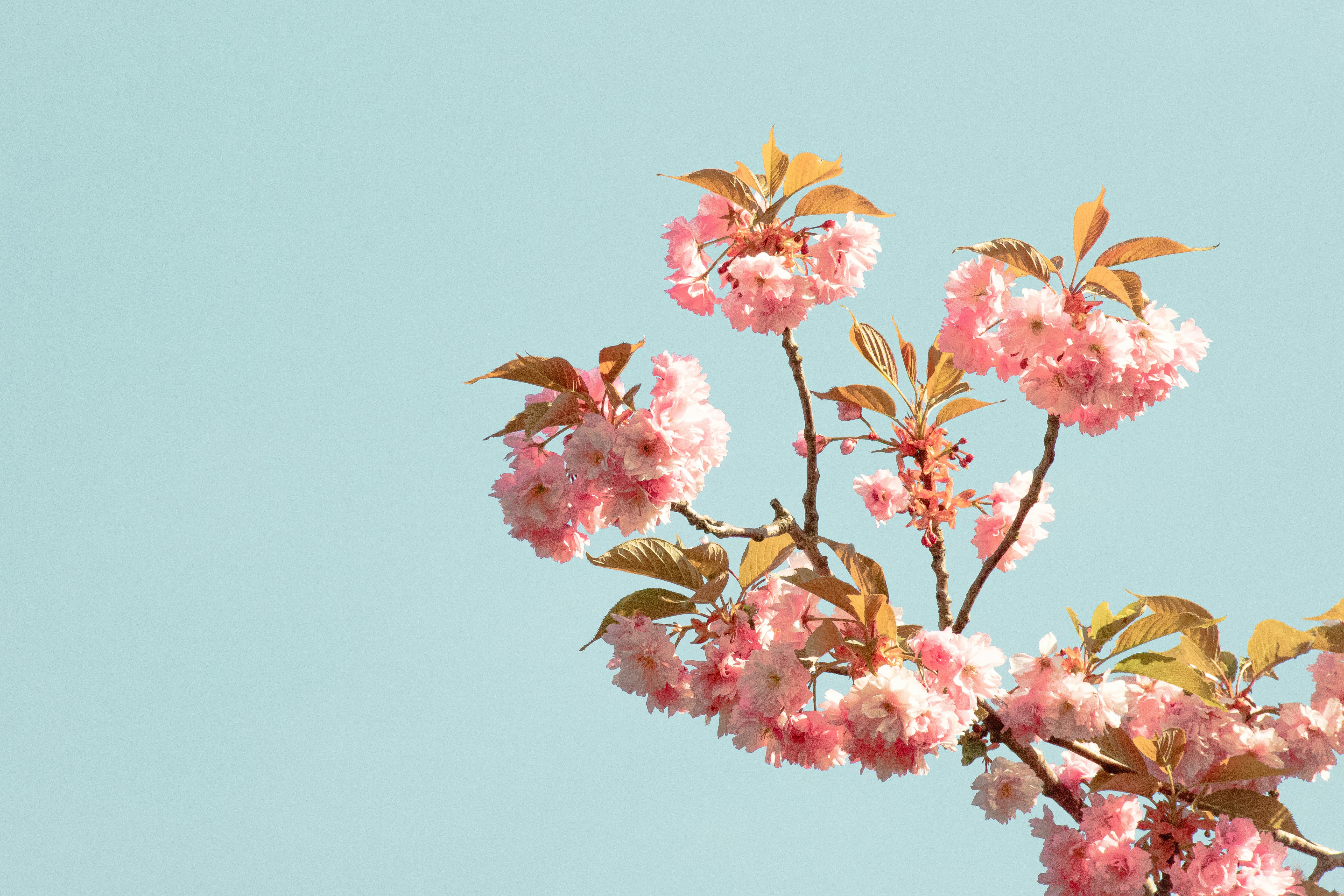 Photo by chingwai0820