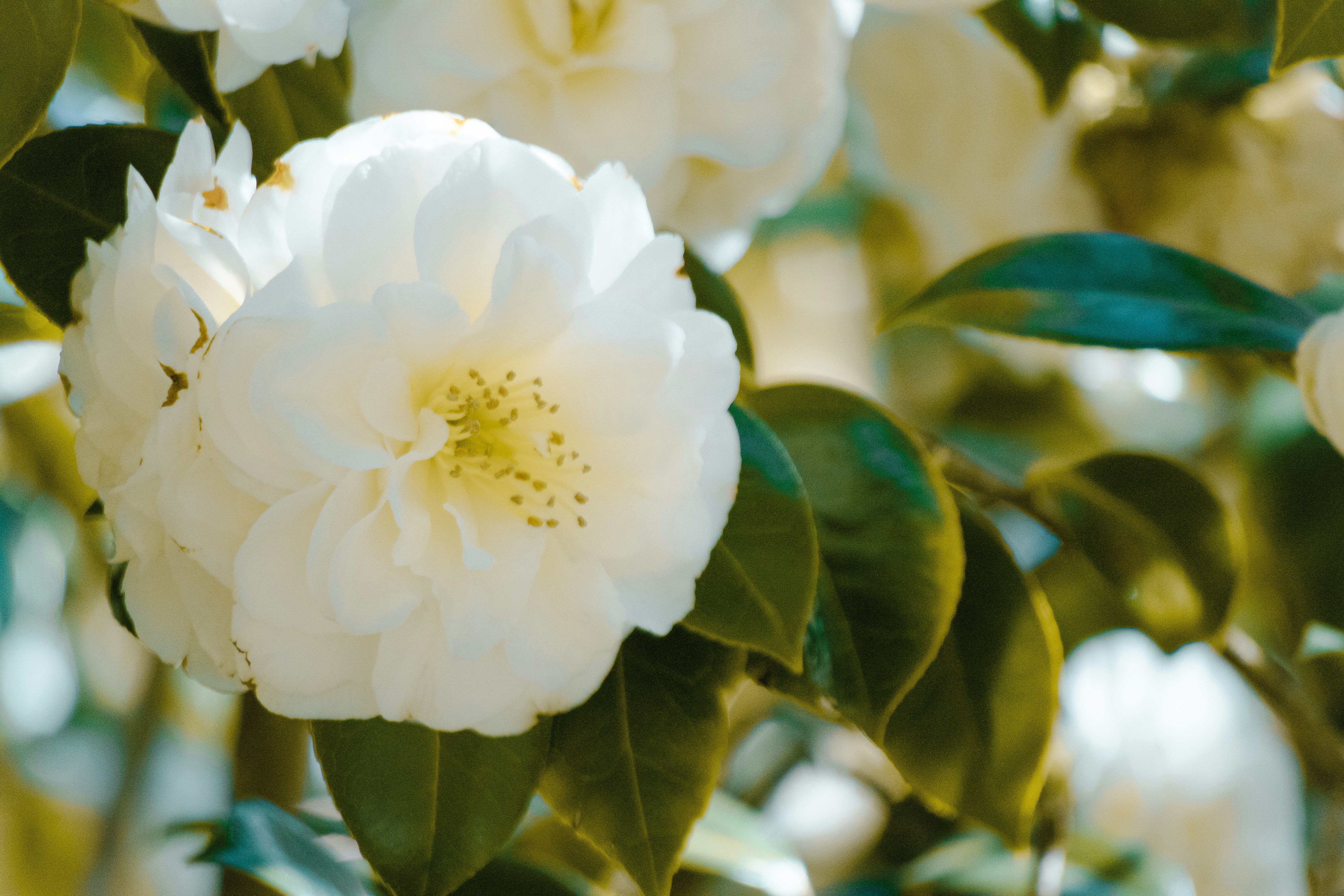 Photo by chingwai0820