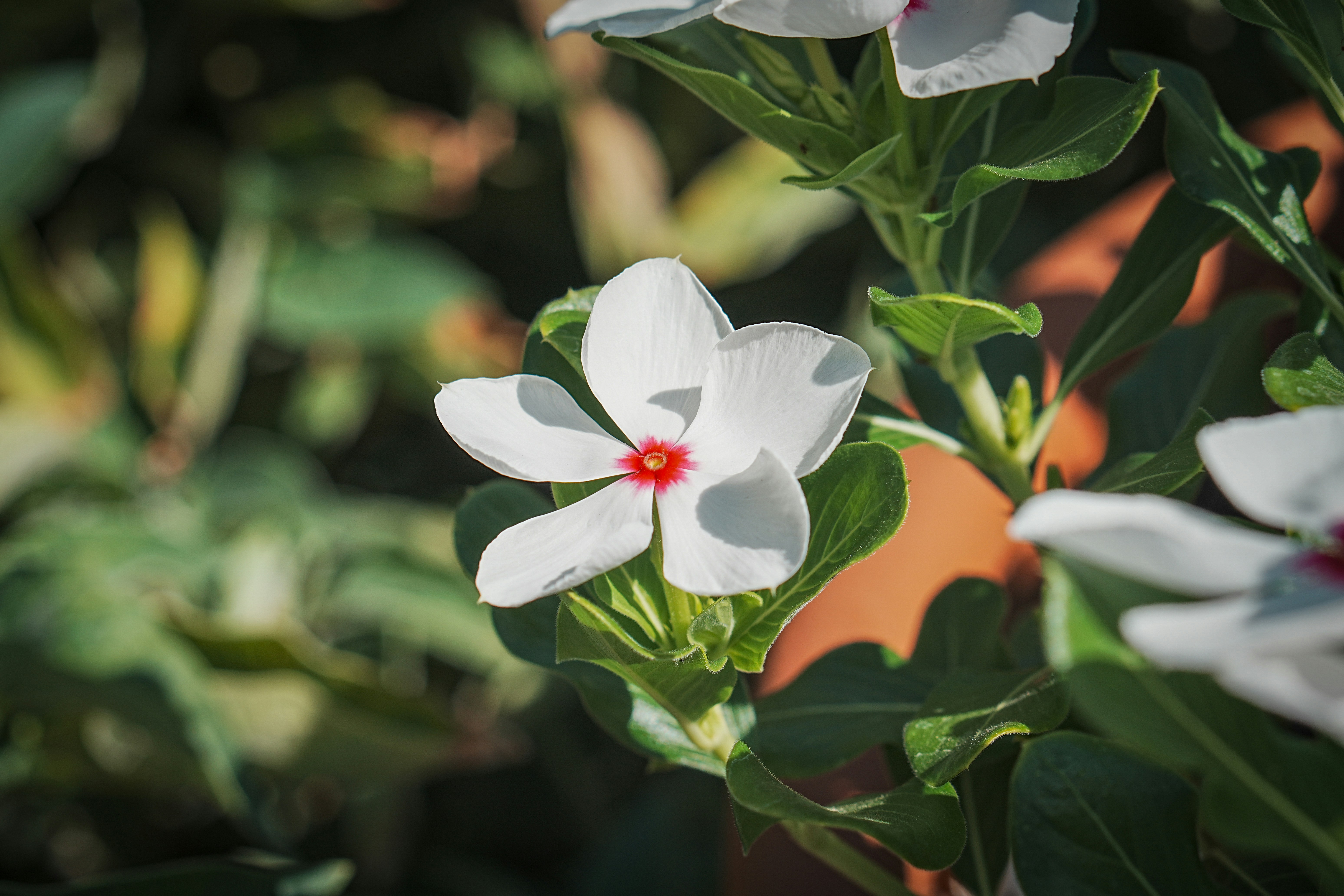 Photo by jcnonstop87