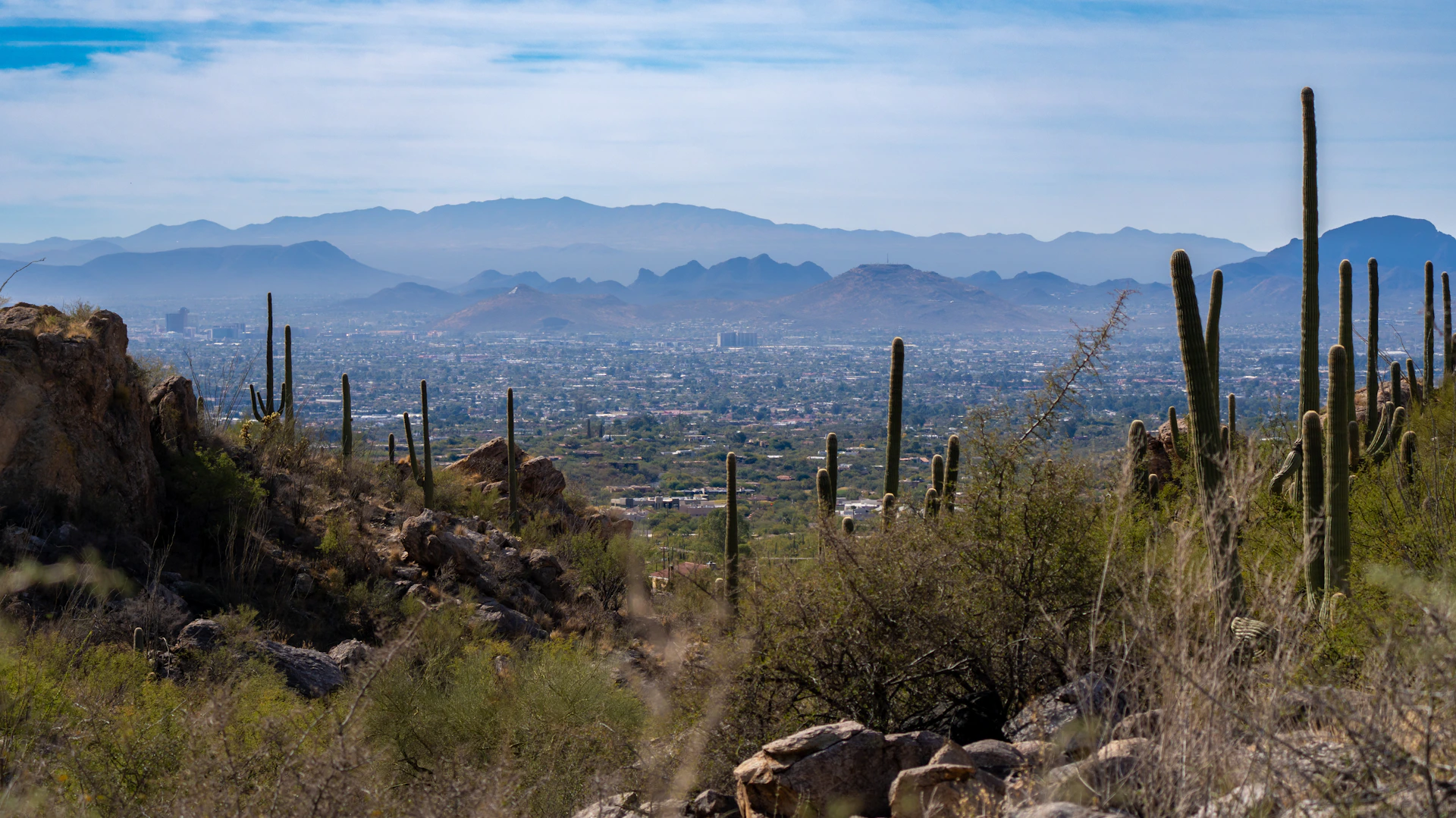 A desert landscape with mountains in the background.