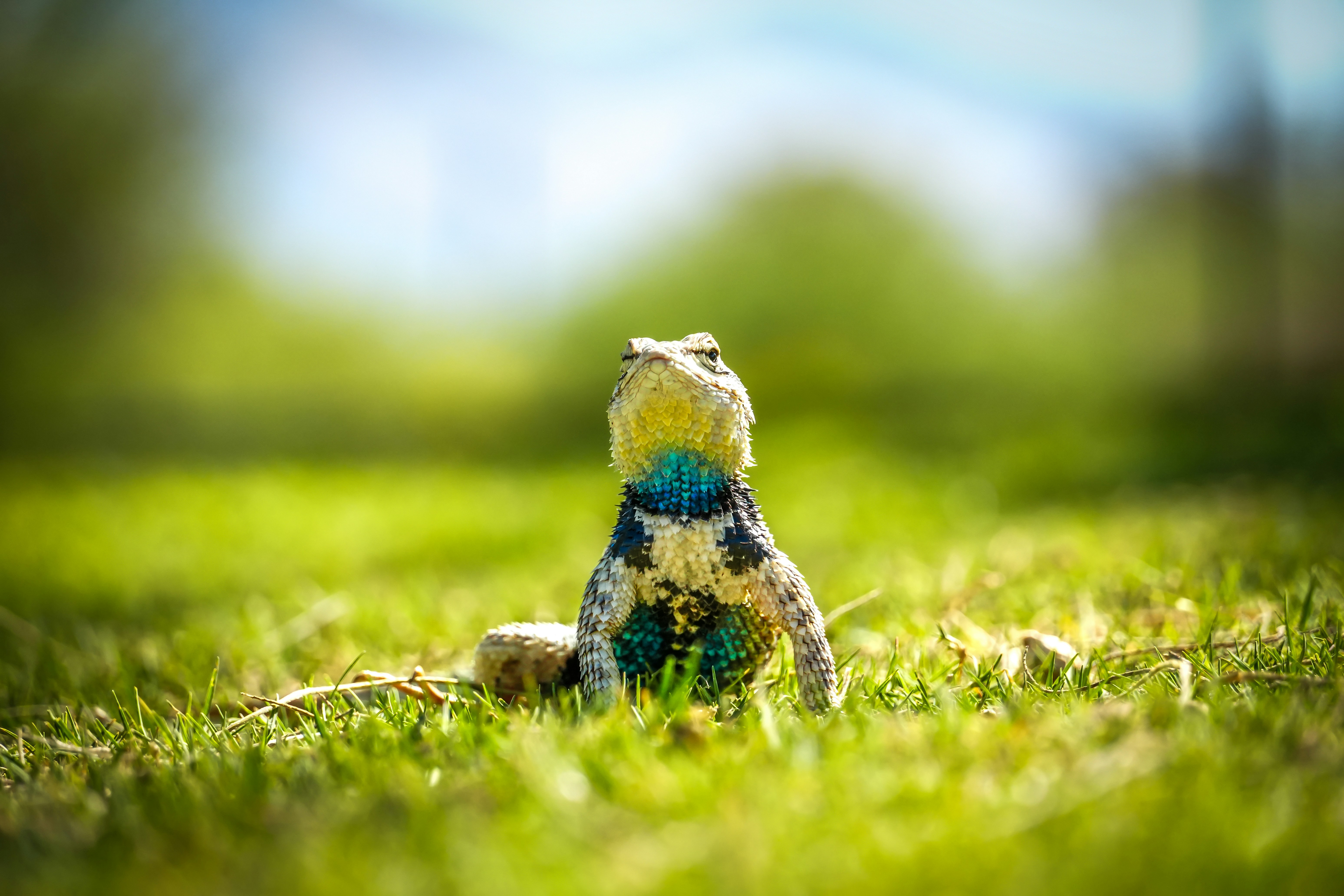 Photo by jcnonstop87