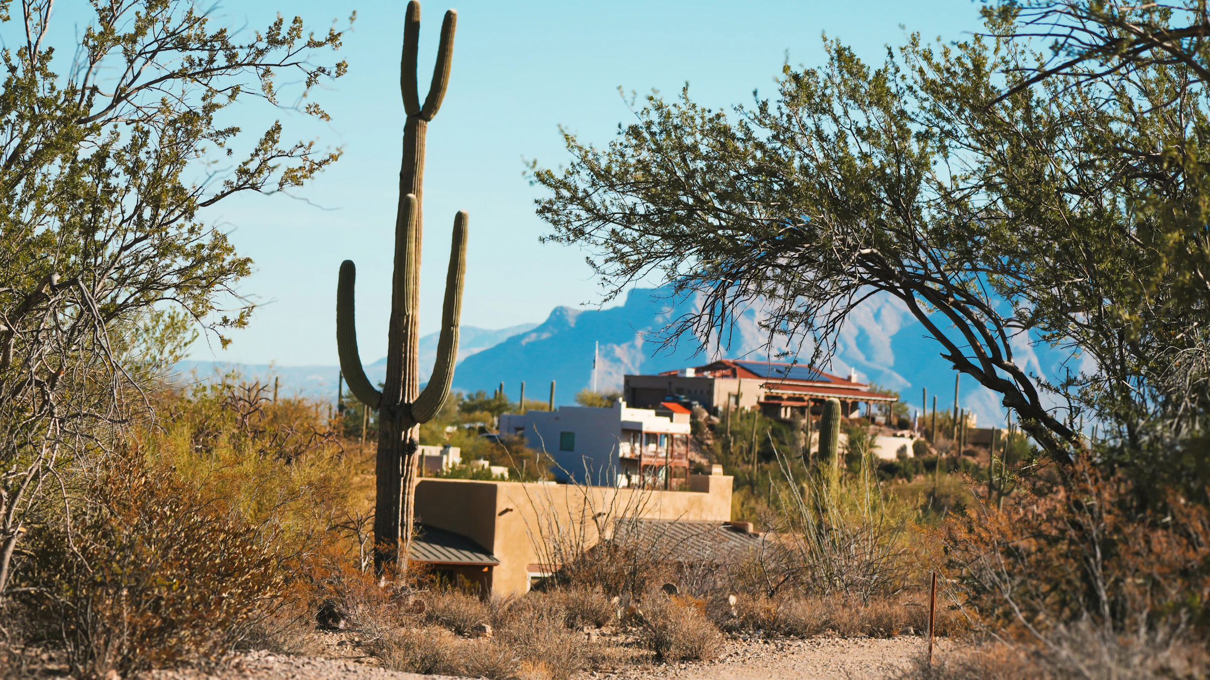 Desert residential home with cactus landscaping near El Mirage, Arizona