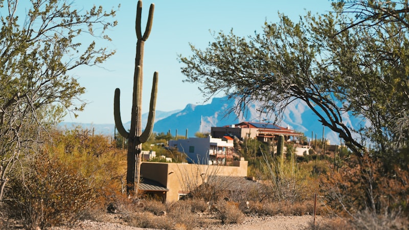 Desert landscaping with gravel and cactus in front of a home, the low water yard style encouraged across Clark County