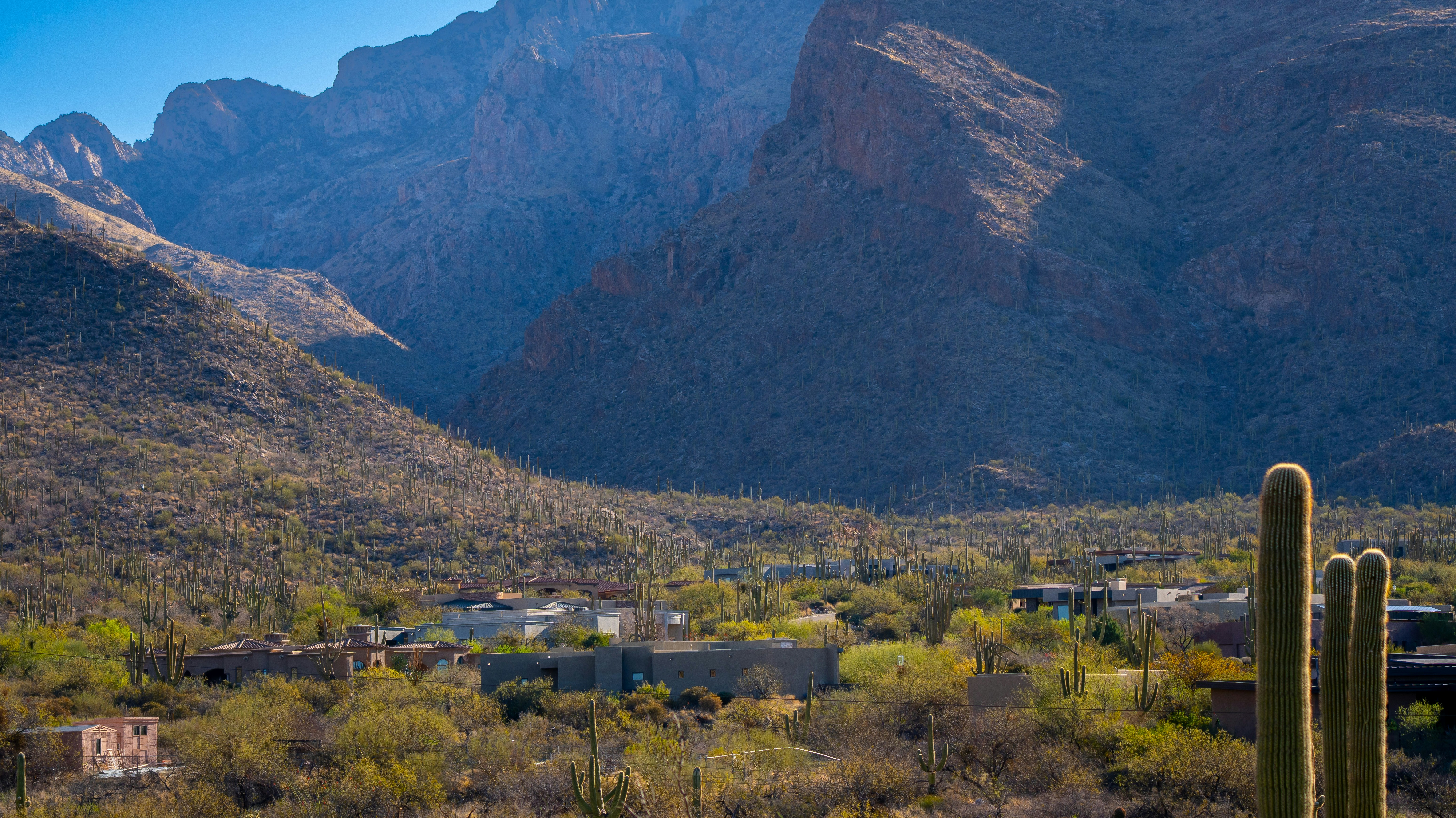 Mountainous landscape with cacti and a few buildings.
