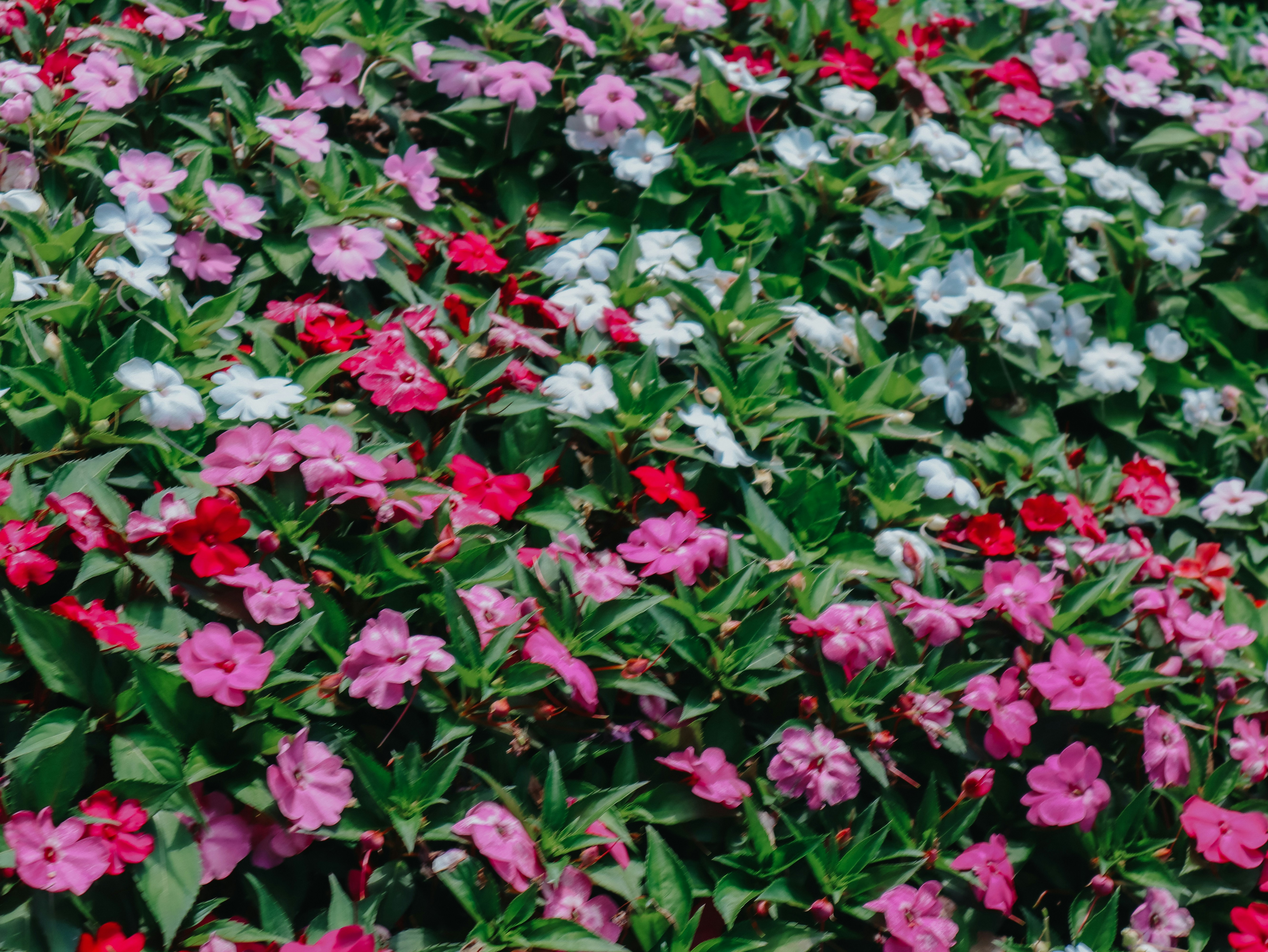 Photo by elijahbcrouch