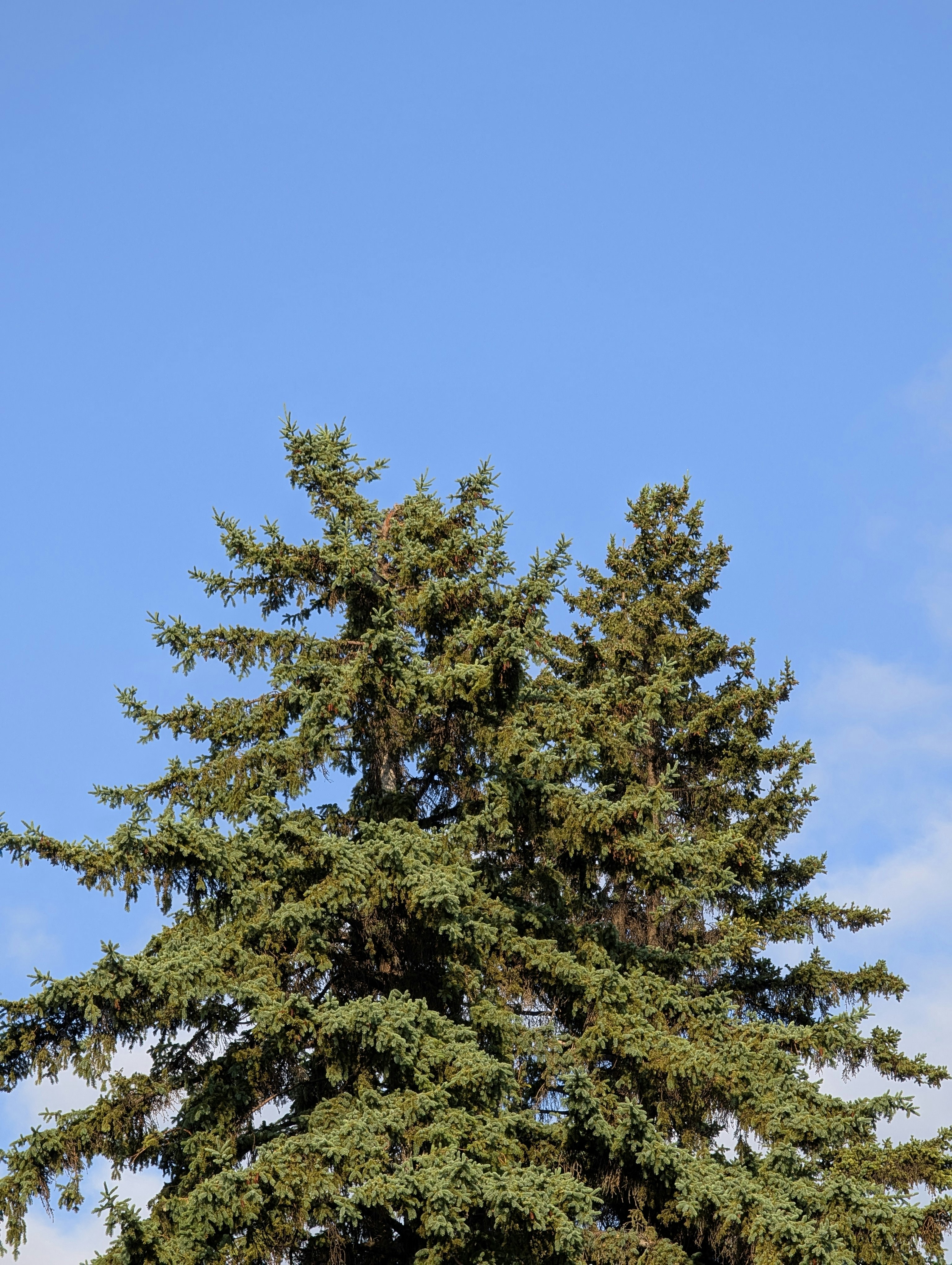 Photo by da_minimal_guy