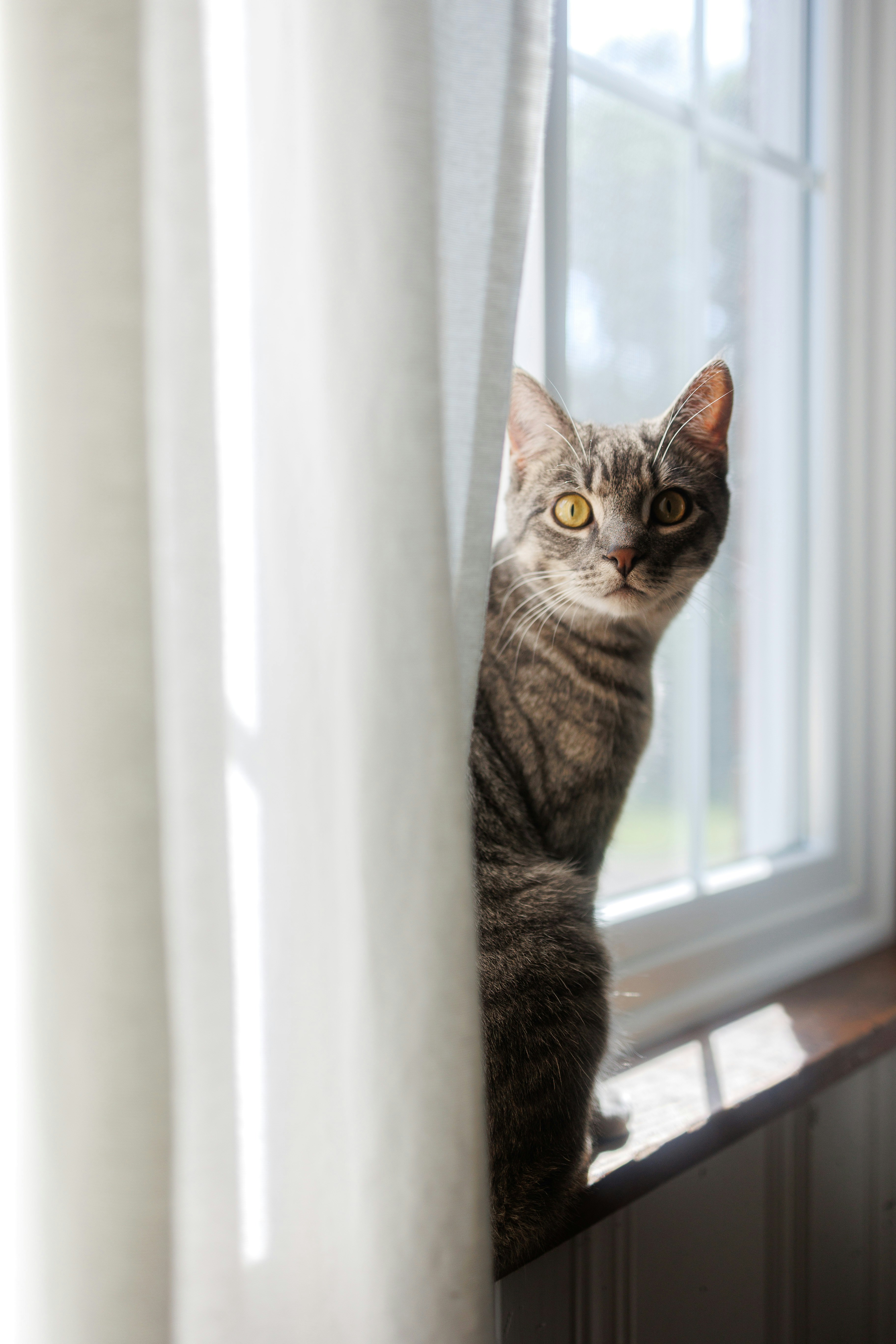 Photo by stills_byliz