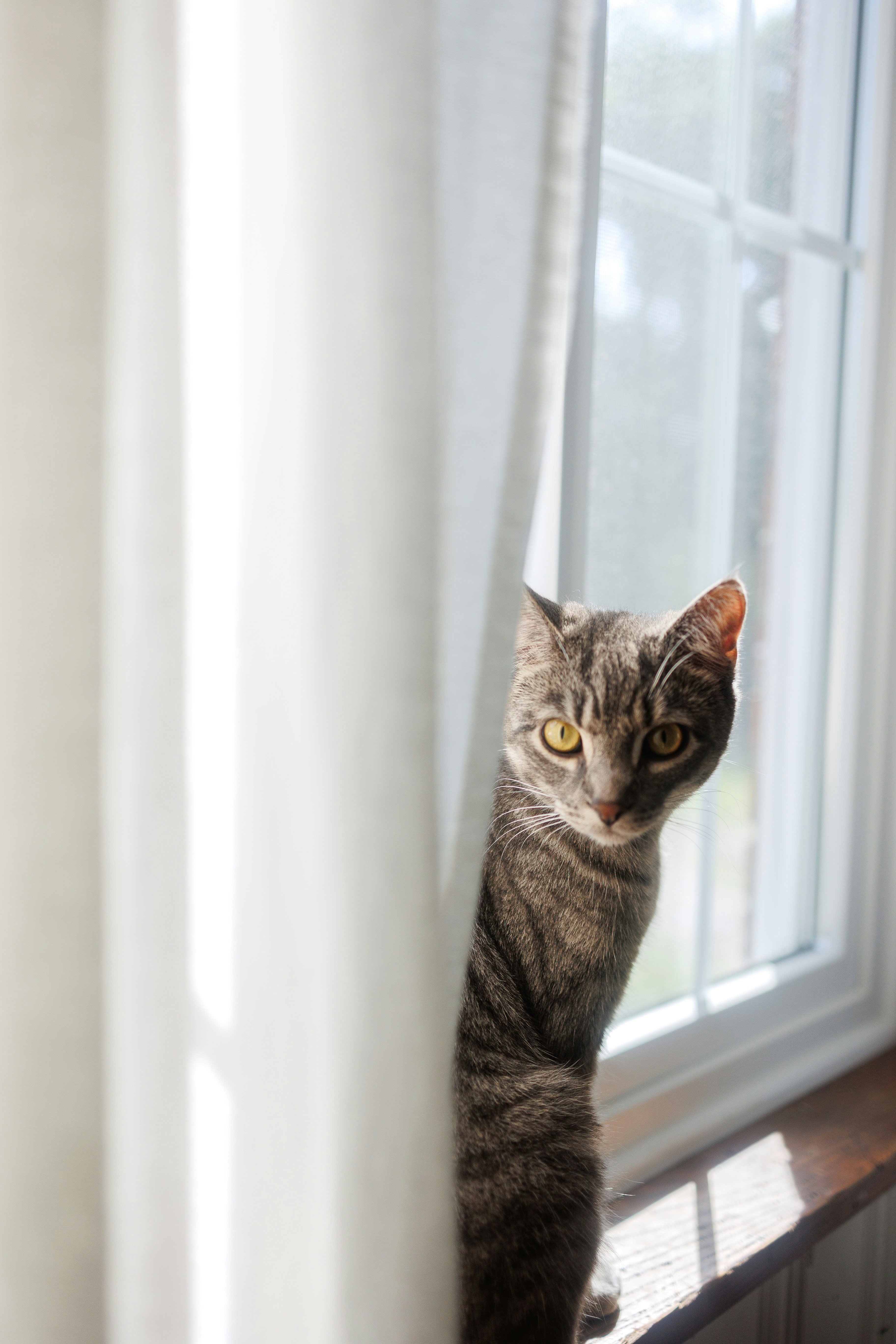 Photo by stills_byliz