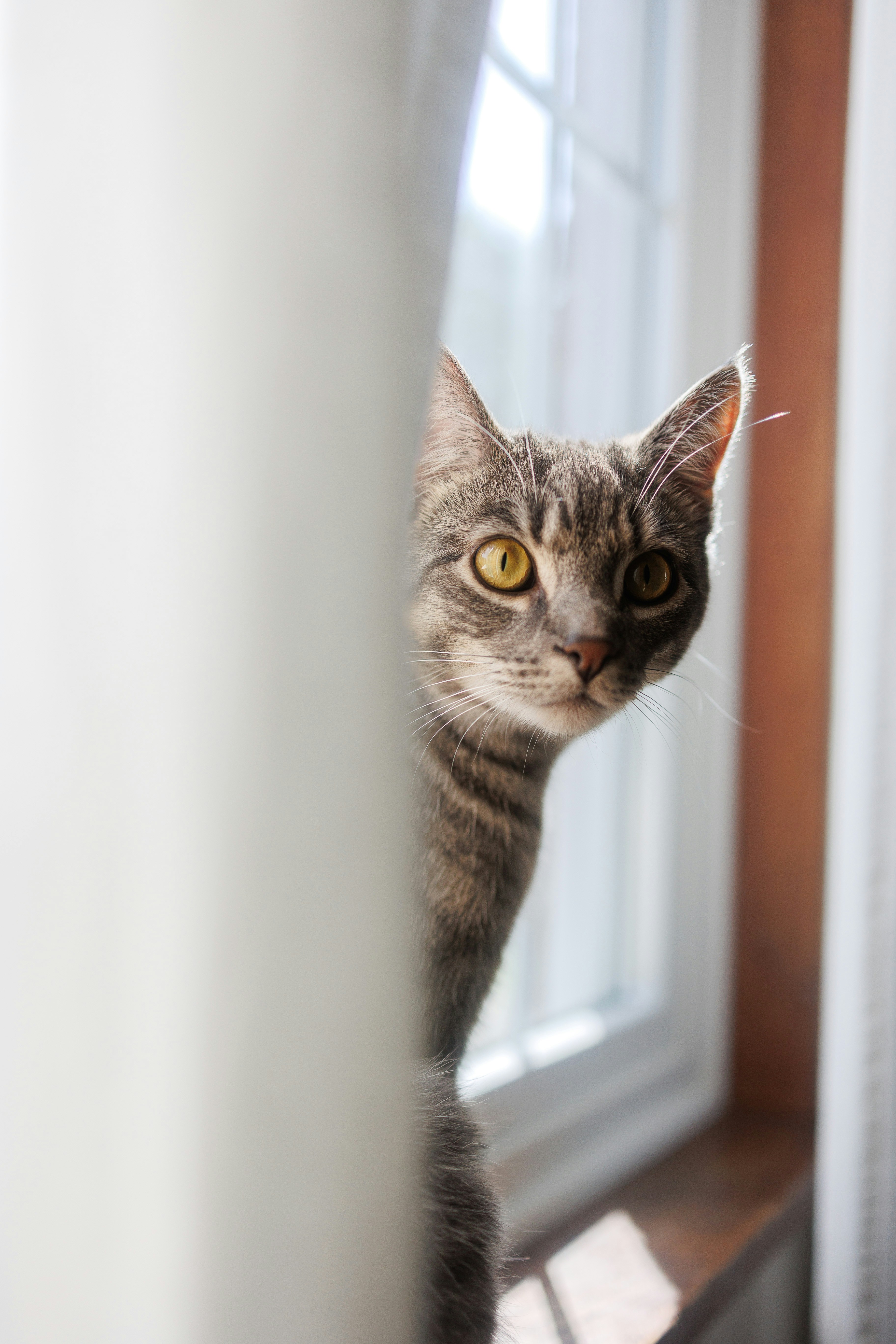 Photo by stills_byliz