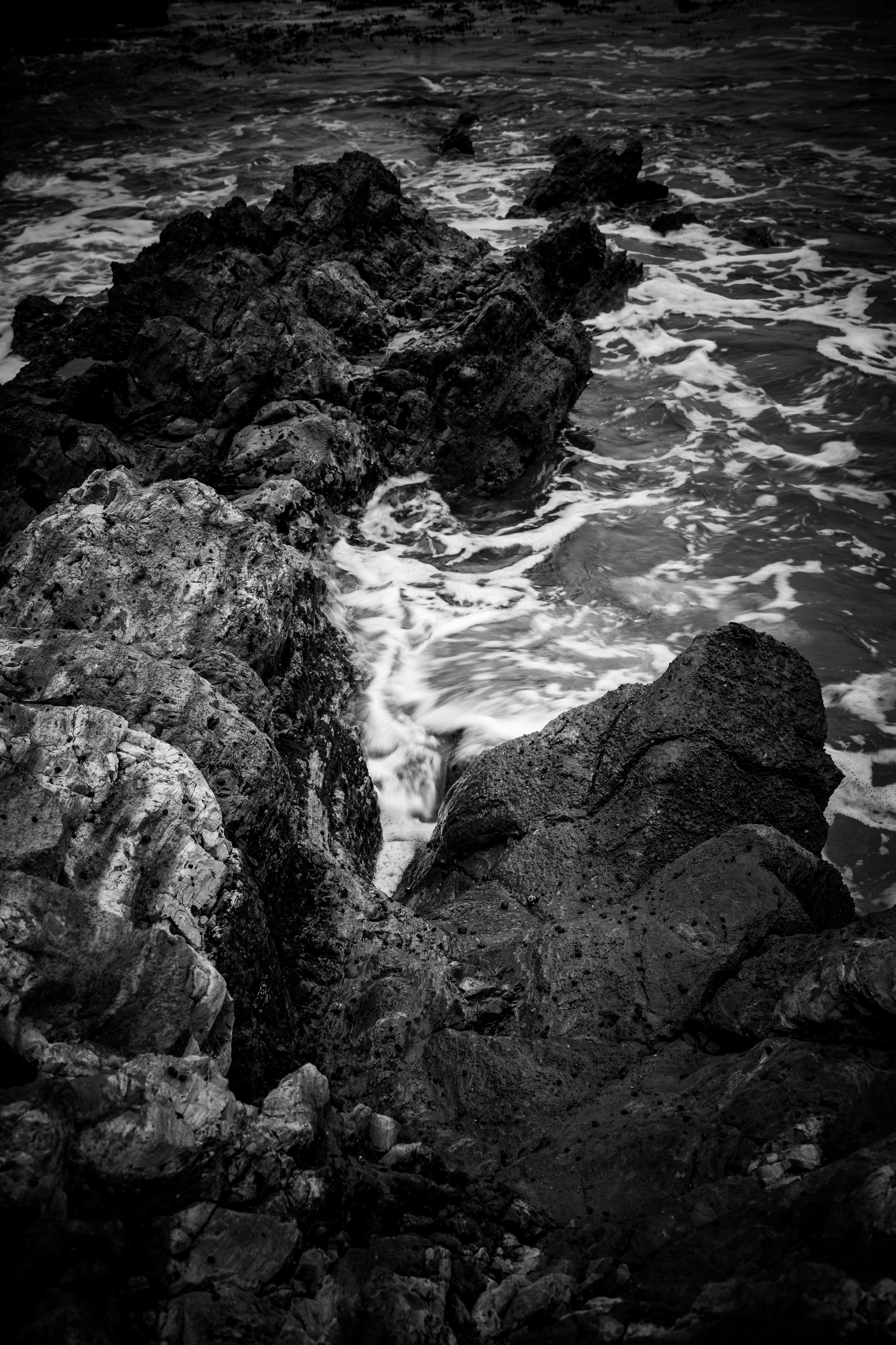 Photo by brice_cooper18