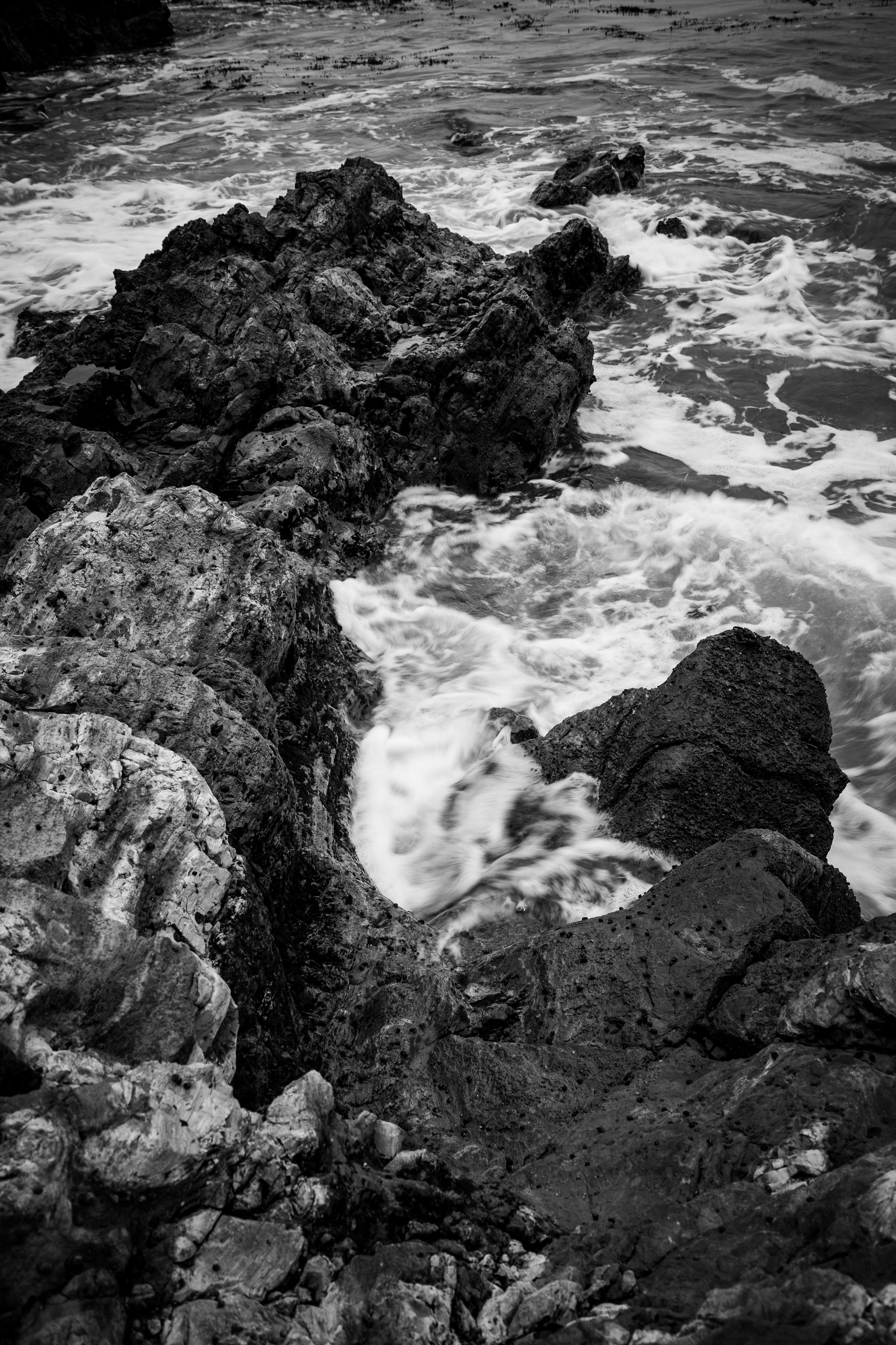 Photo by brice_cooper18