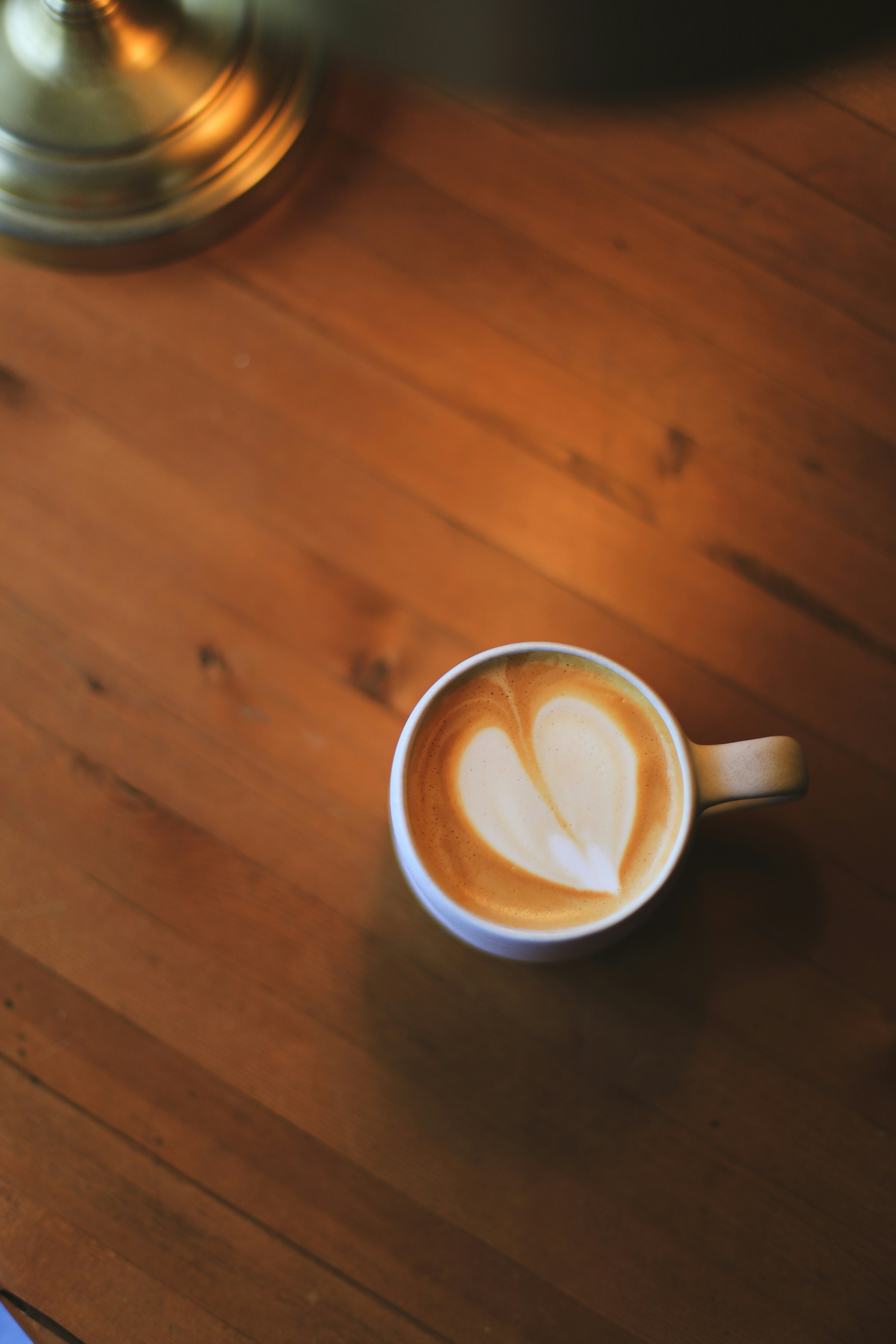 Photo by jessicalfadel