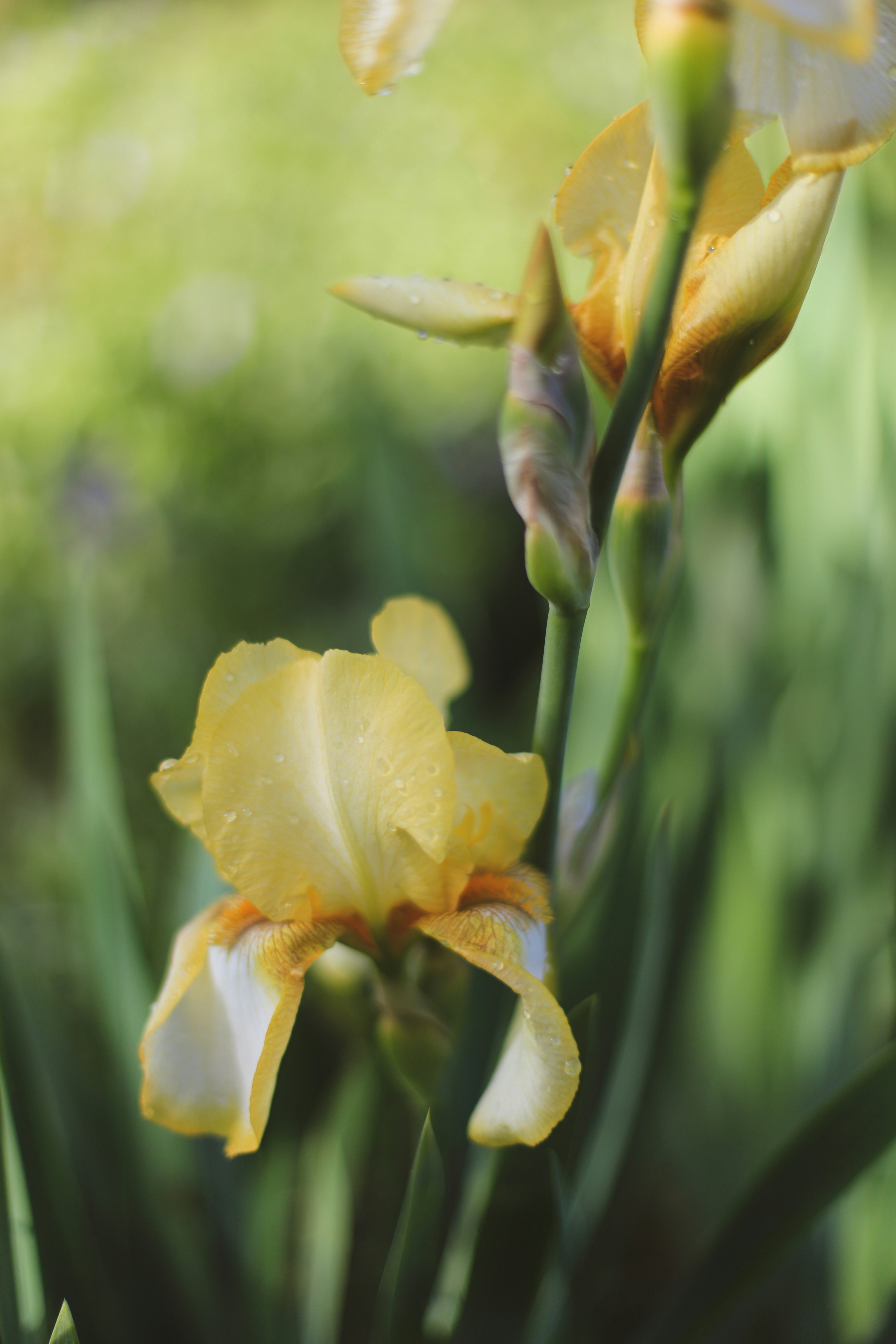 Photo by jessicalfadel