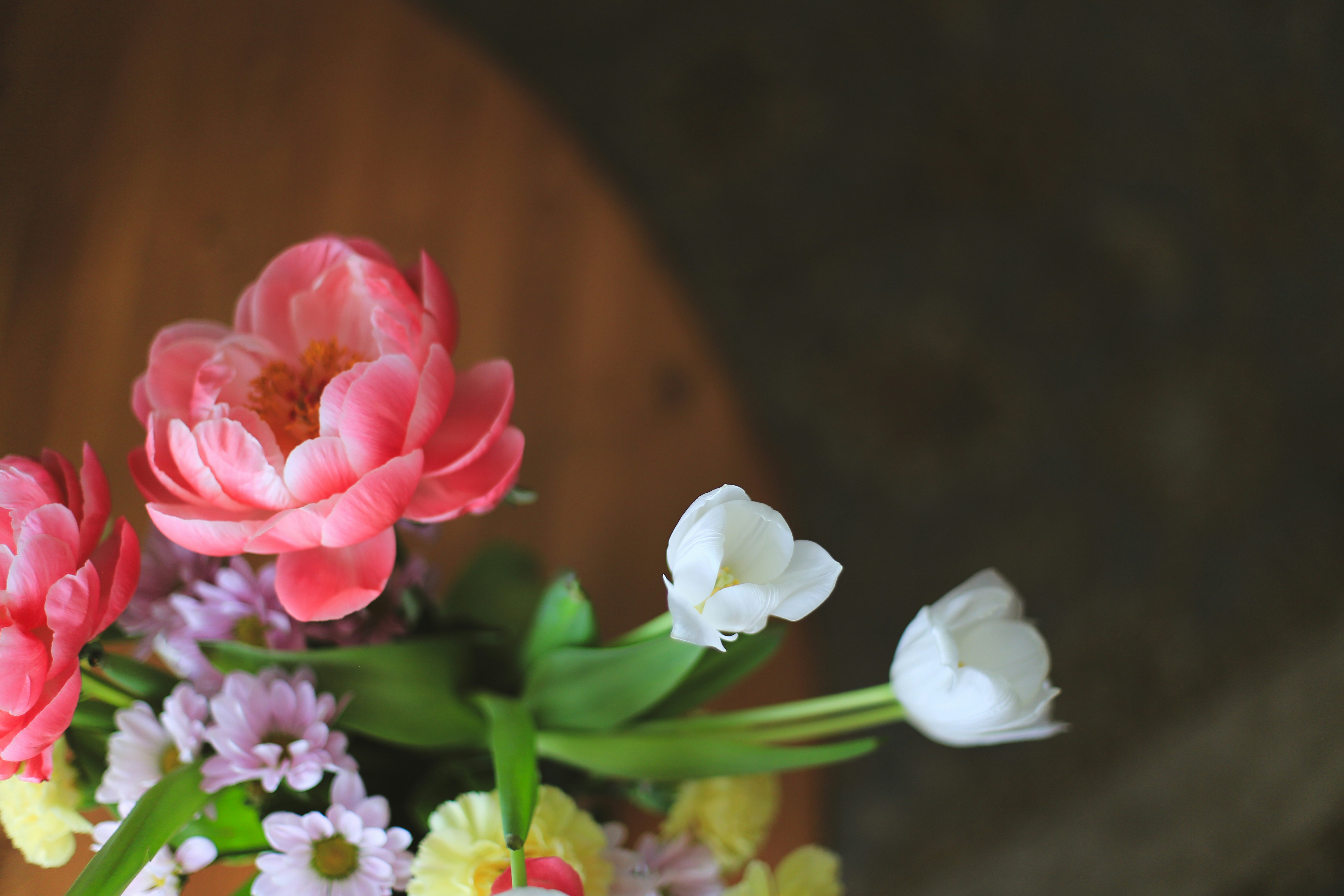 Photo by jessicalfadel