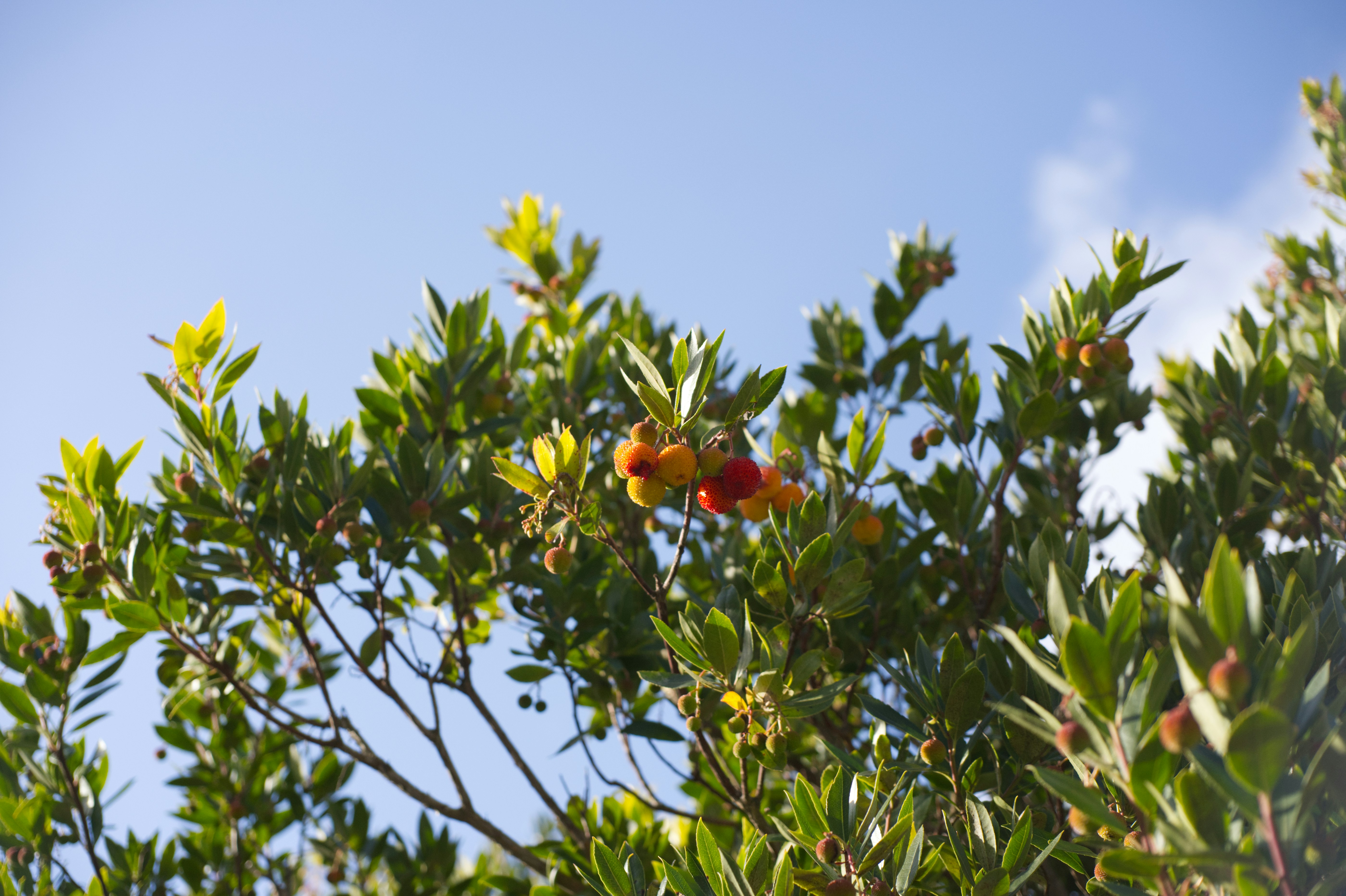 Photo by airguitarbandit