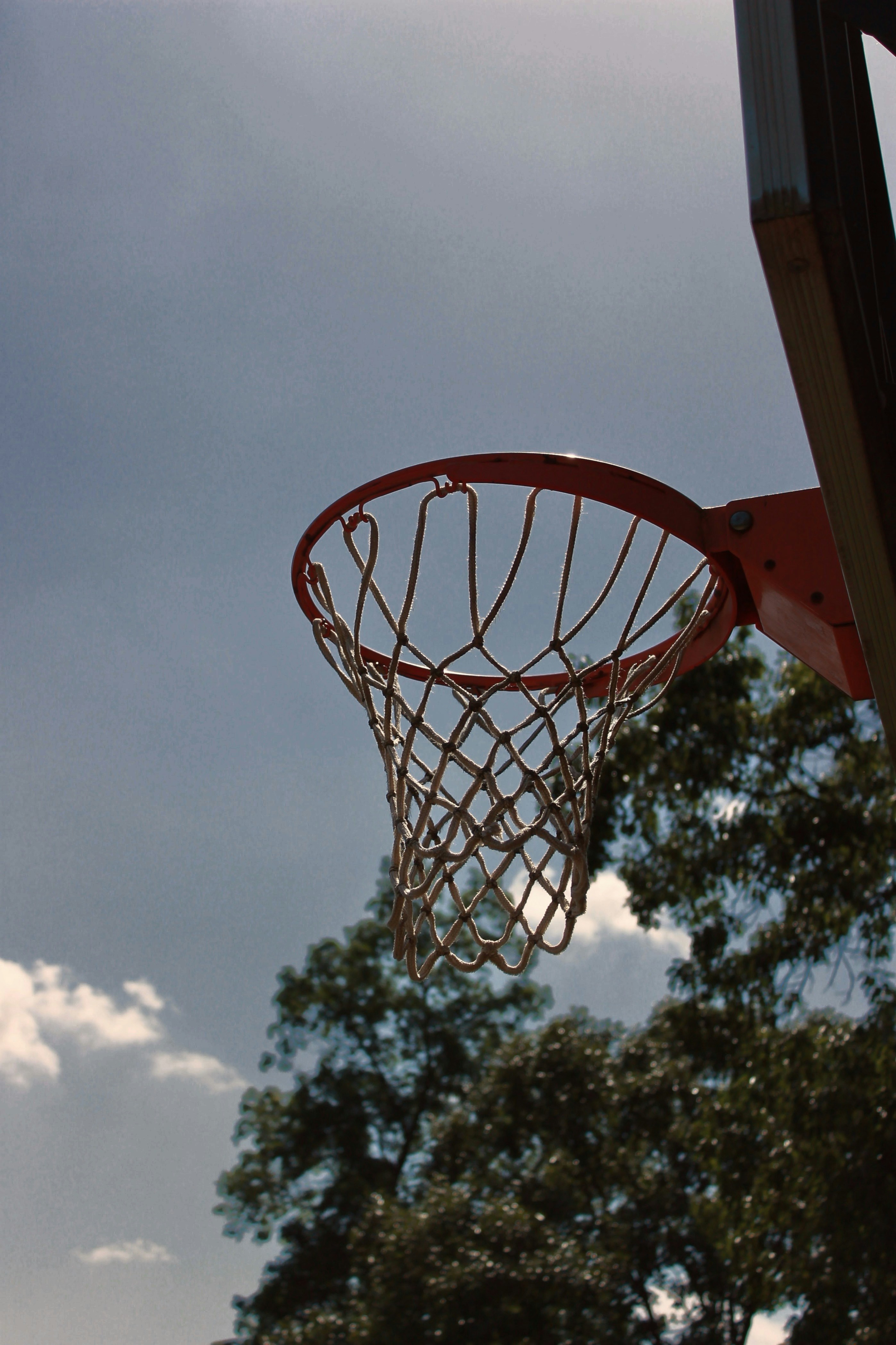 Photo by taylorpayne24