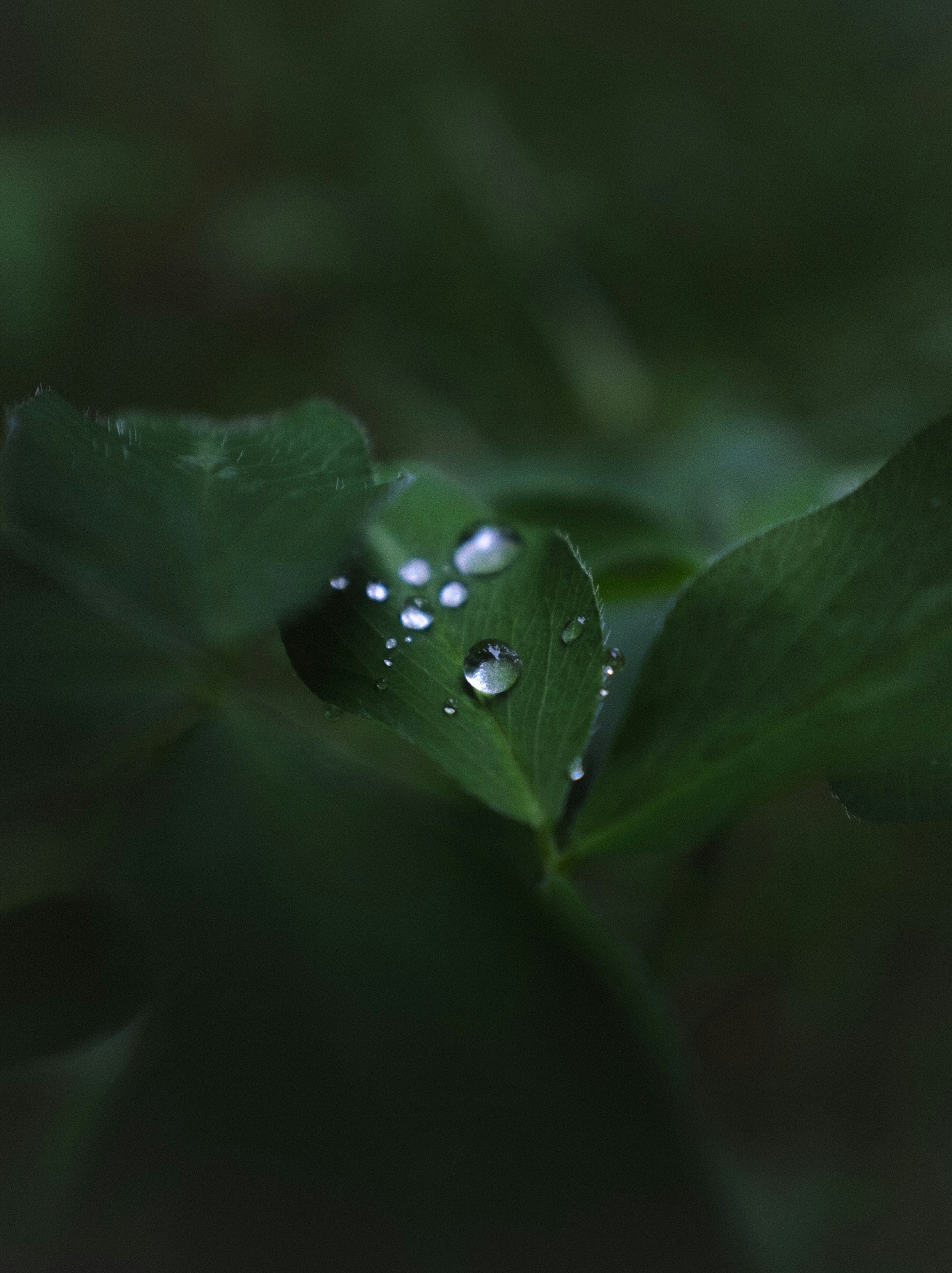 Photo by kirillpershin