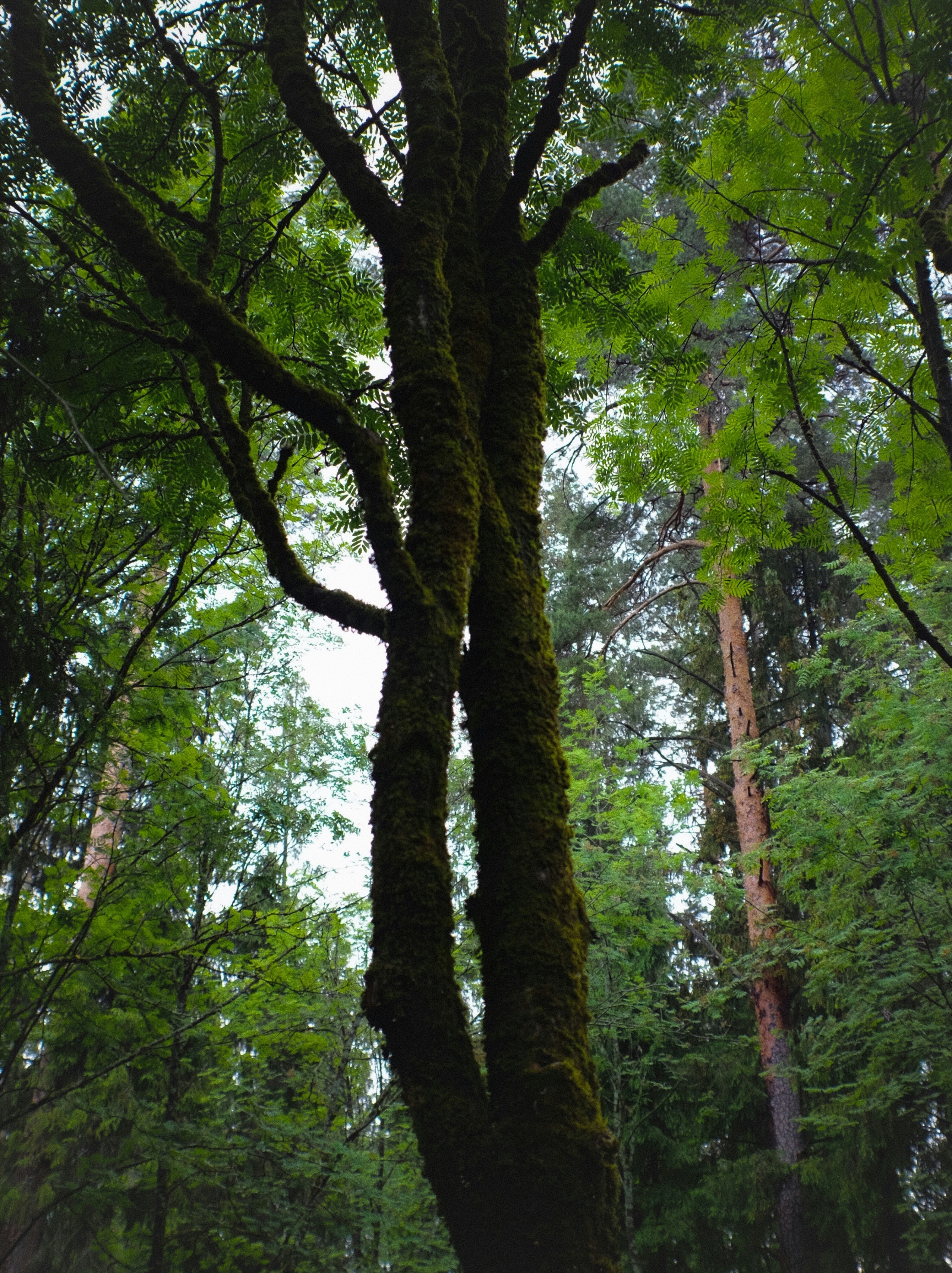 Photo by kirillpershin