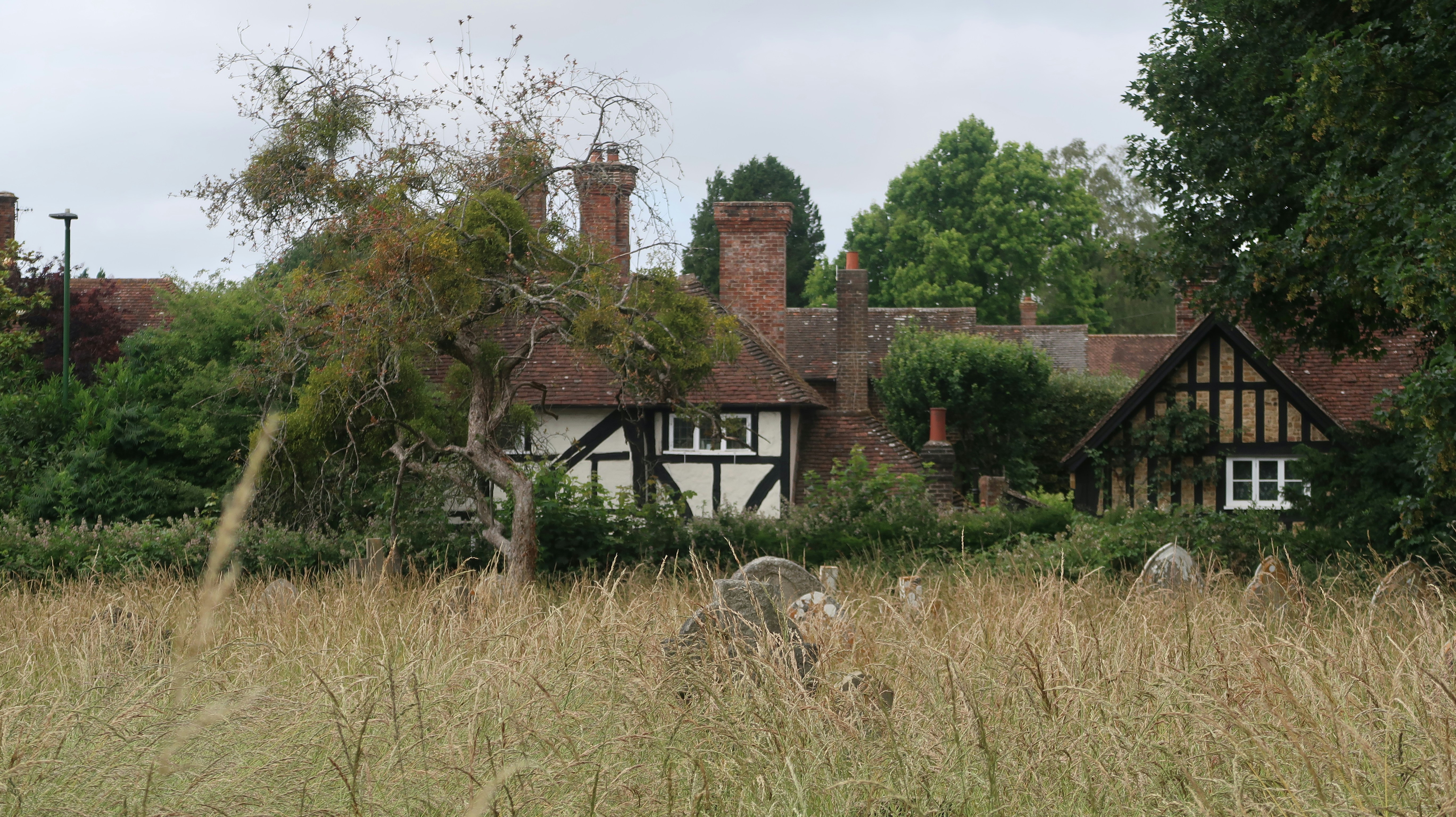 Photo by tanyabarrow