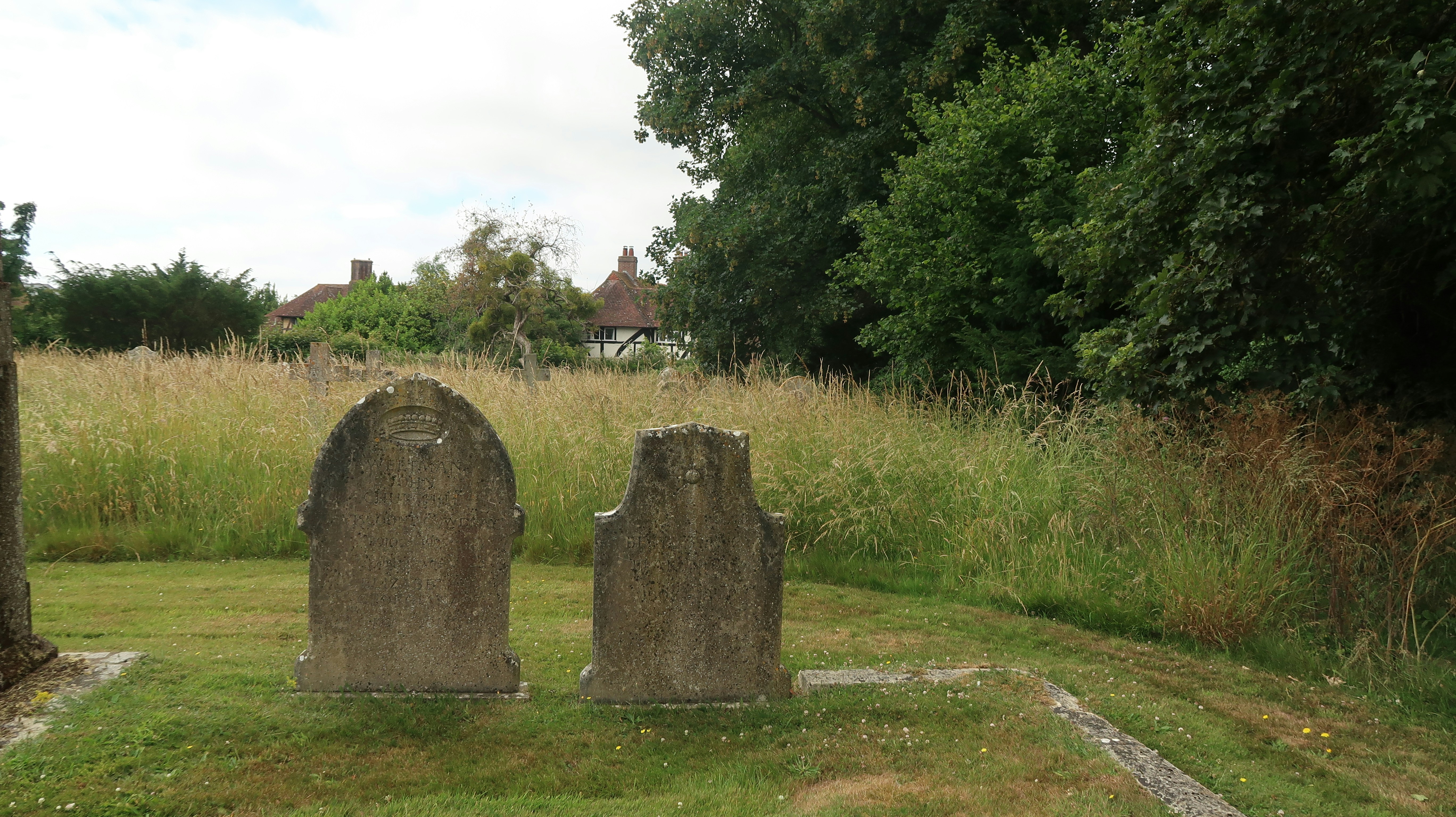 Photo by tanyabarrow