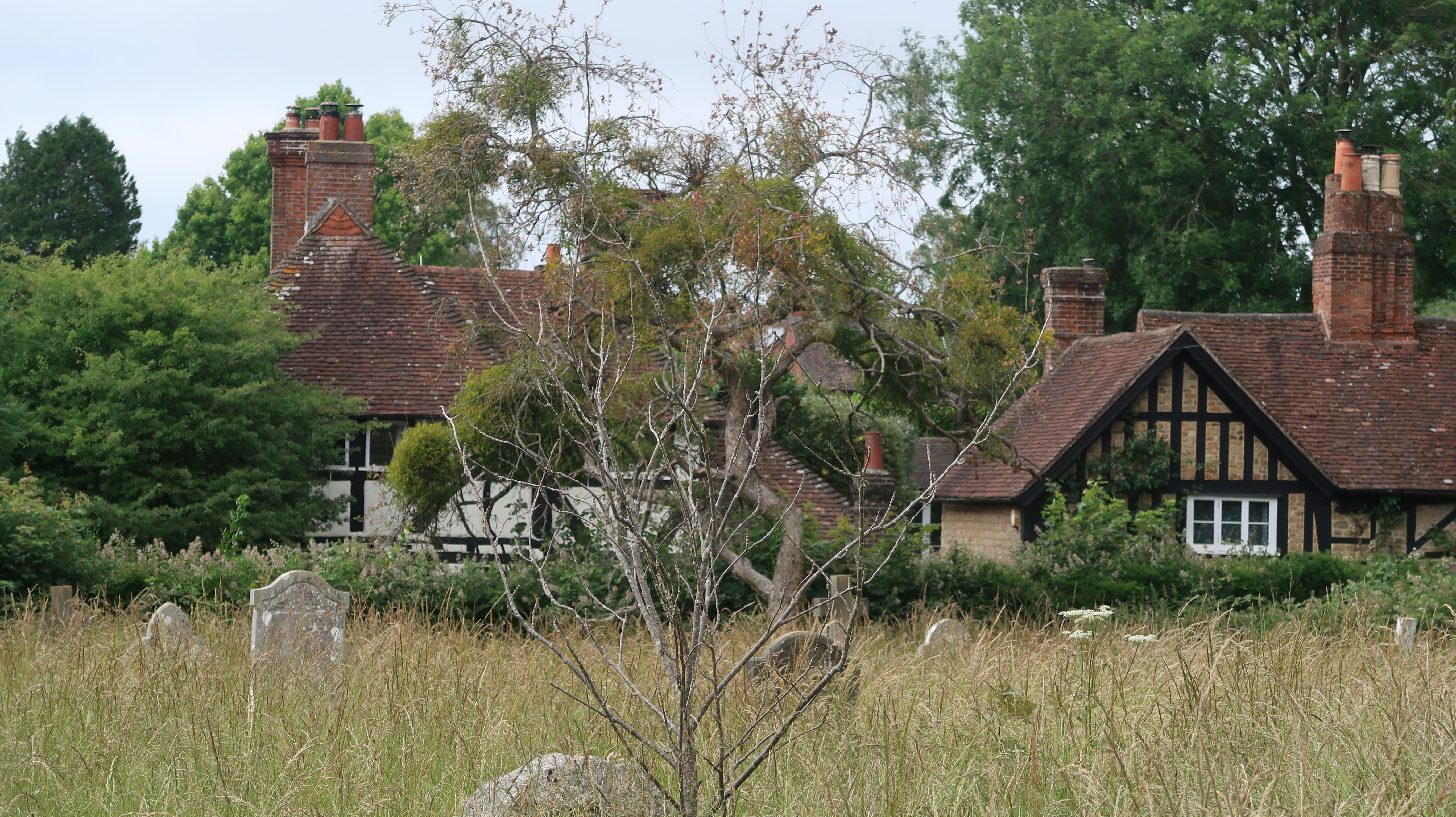 Photo by tanyabarrow