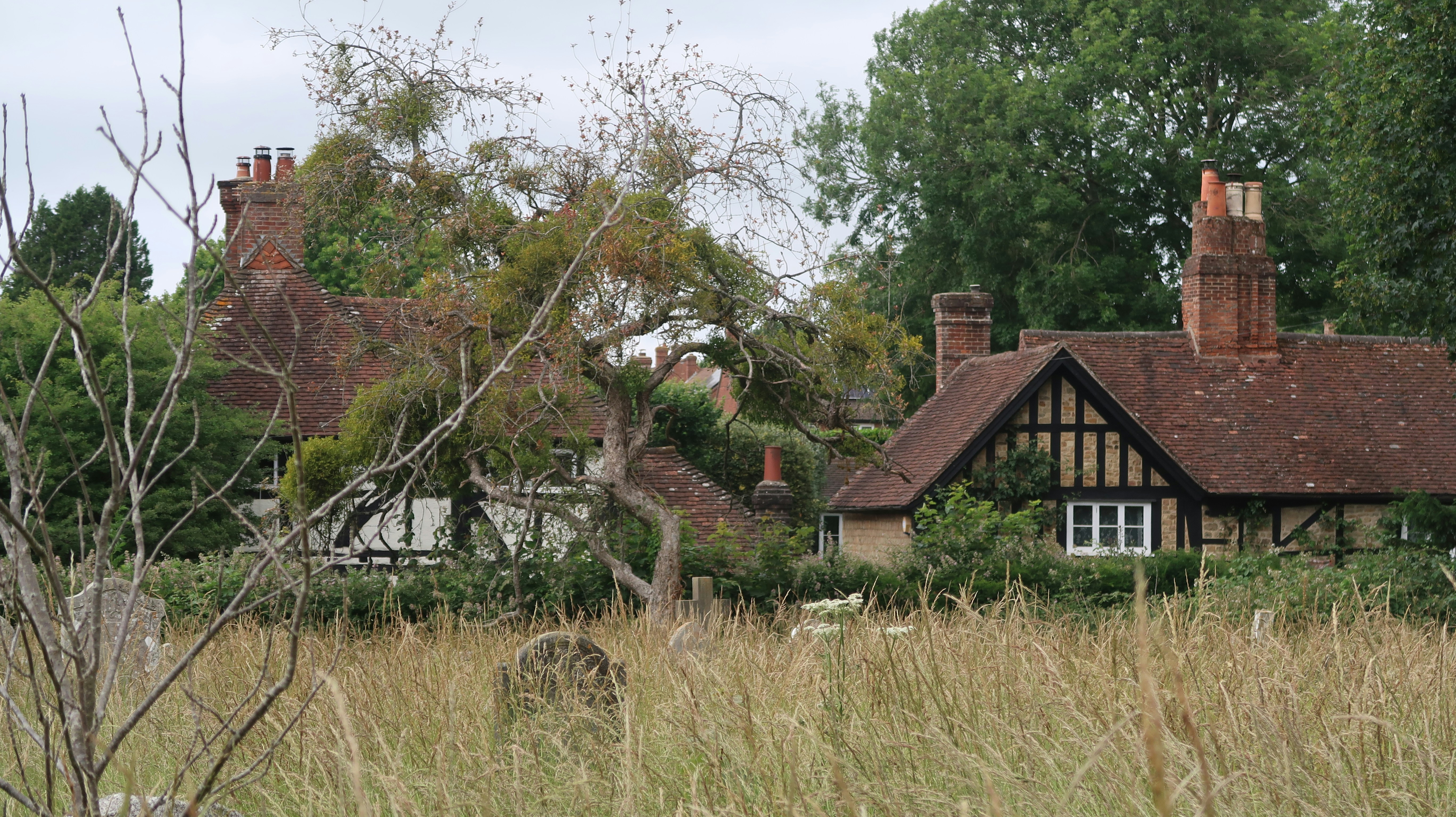 Photo by tanyabarrow