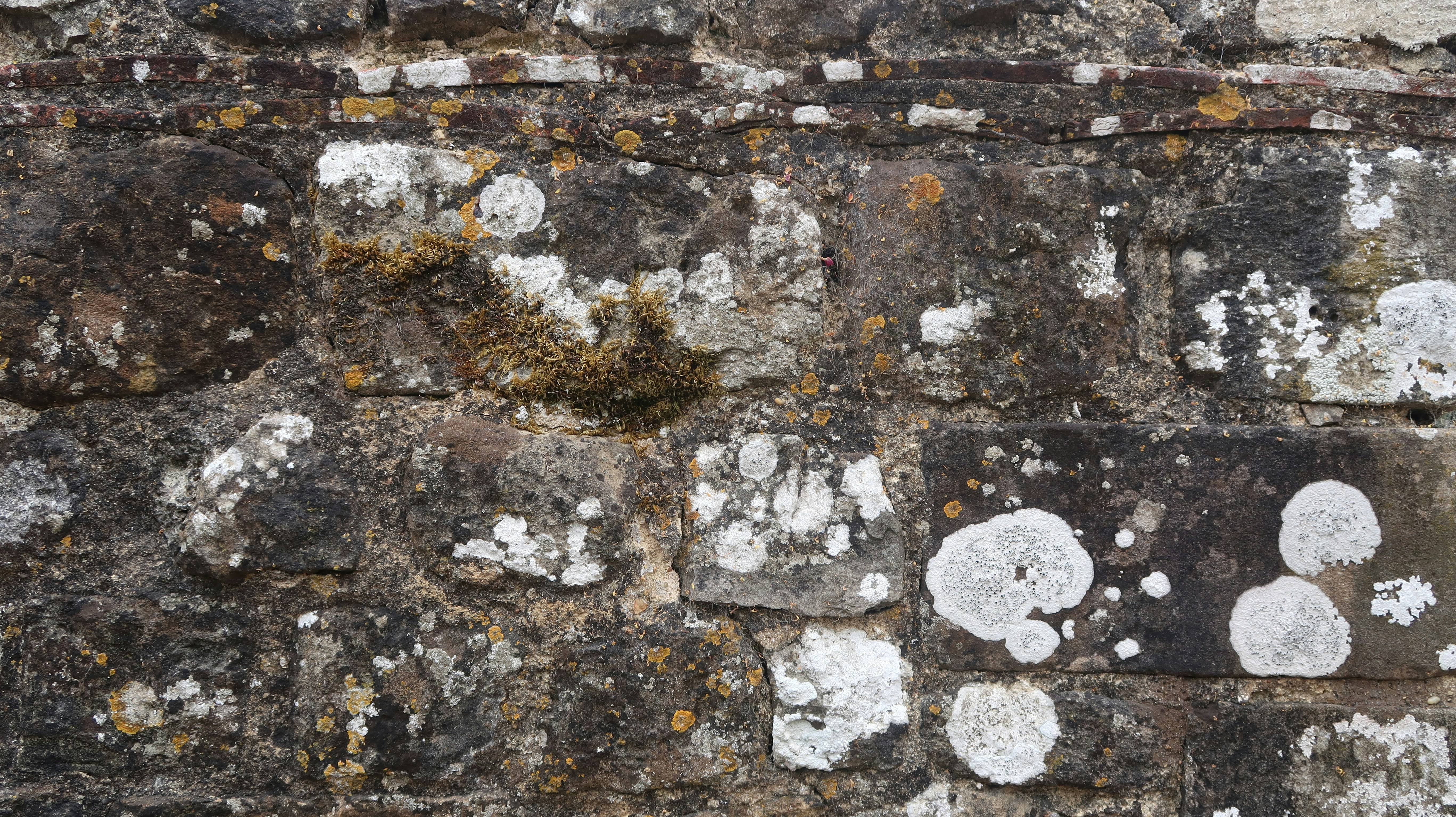 Photo by tanyabarrow