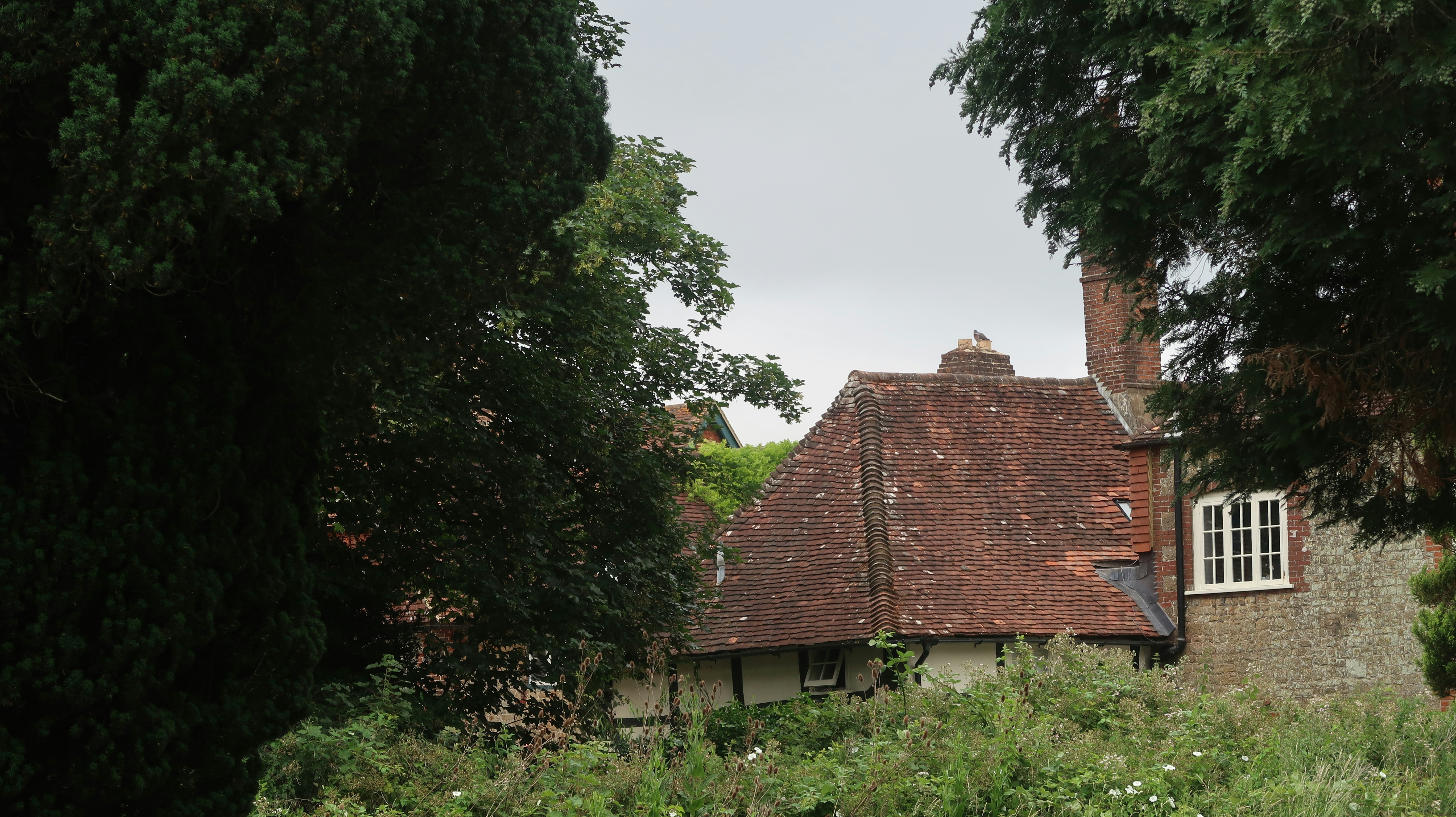 Photo by tanyabarrow