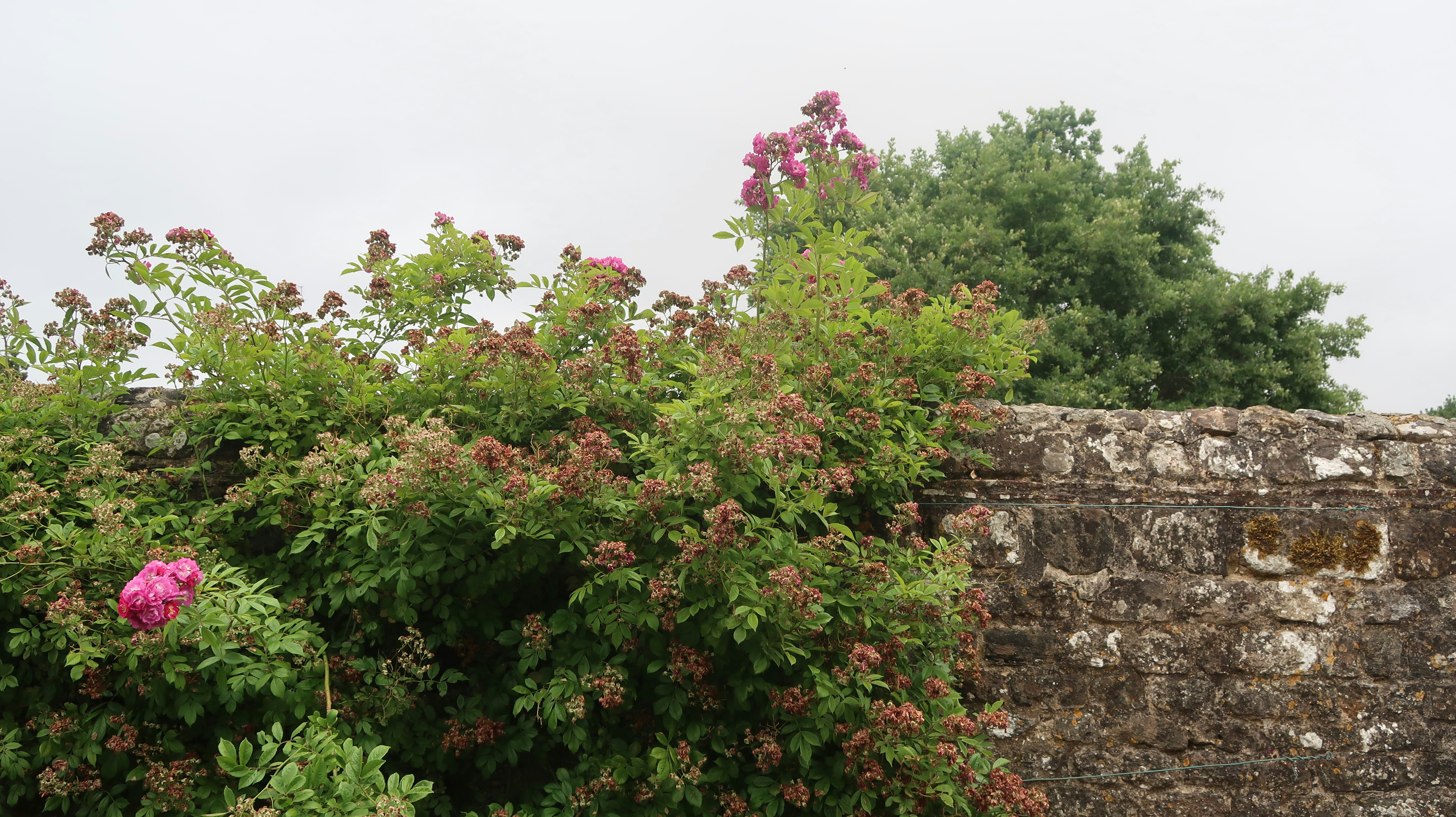 Photo by tanyabarrow