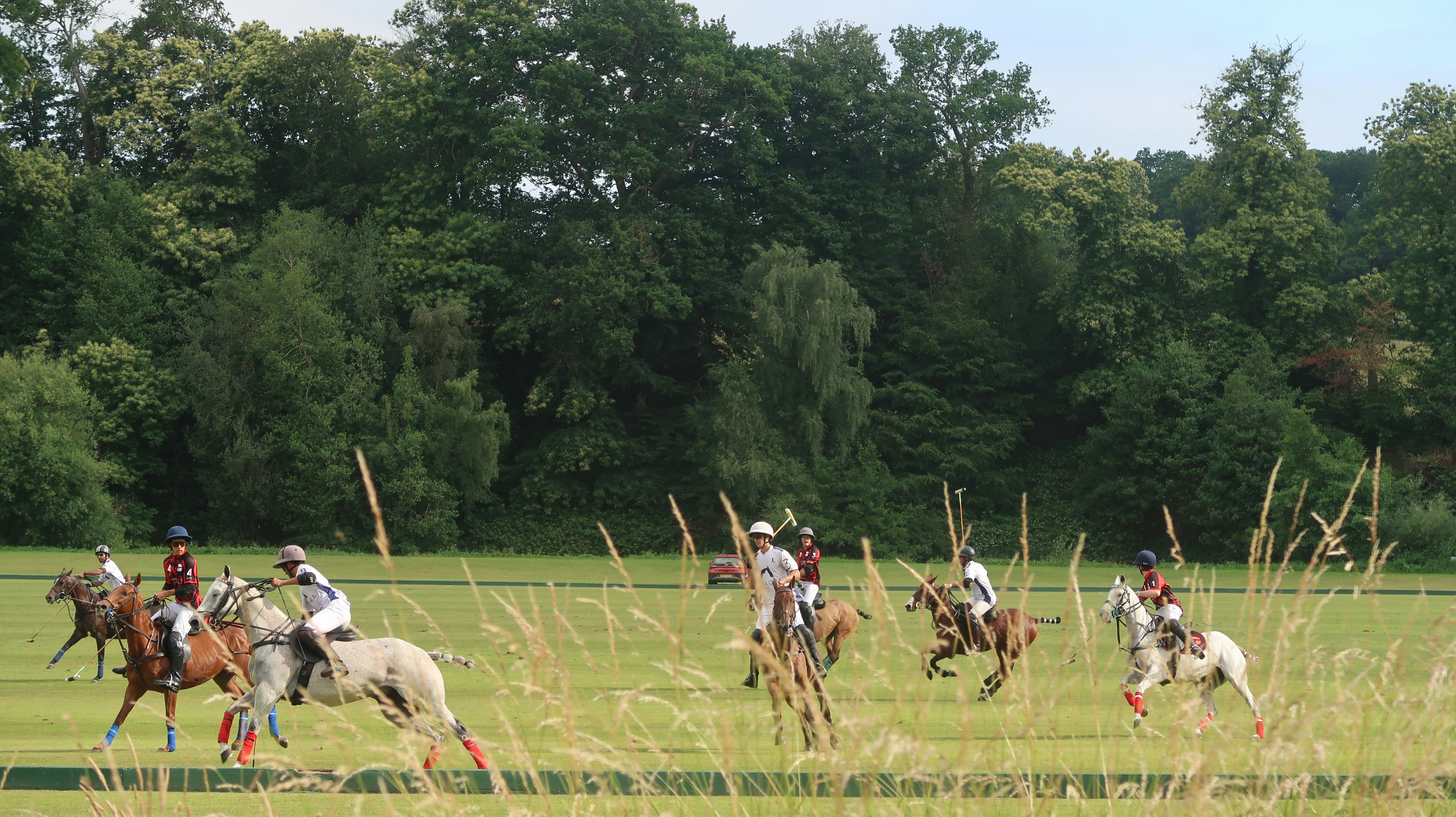 سوارکاران در میدان نبرد