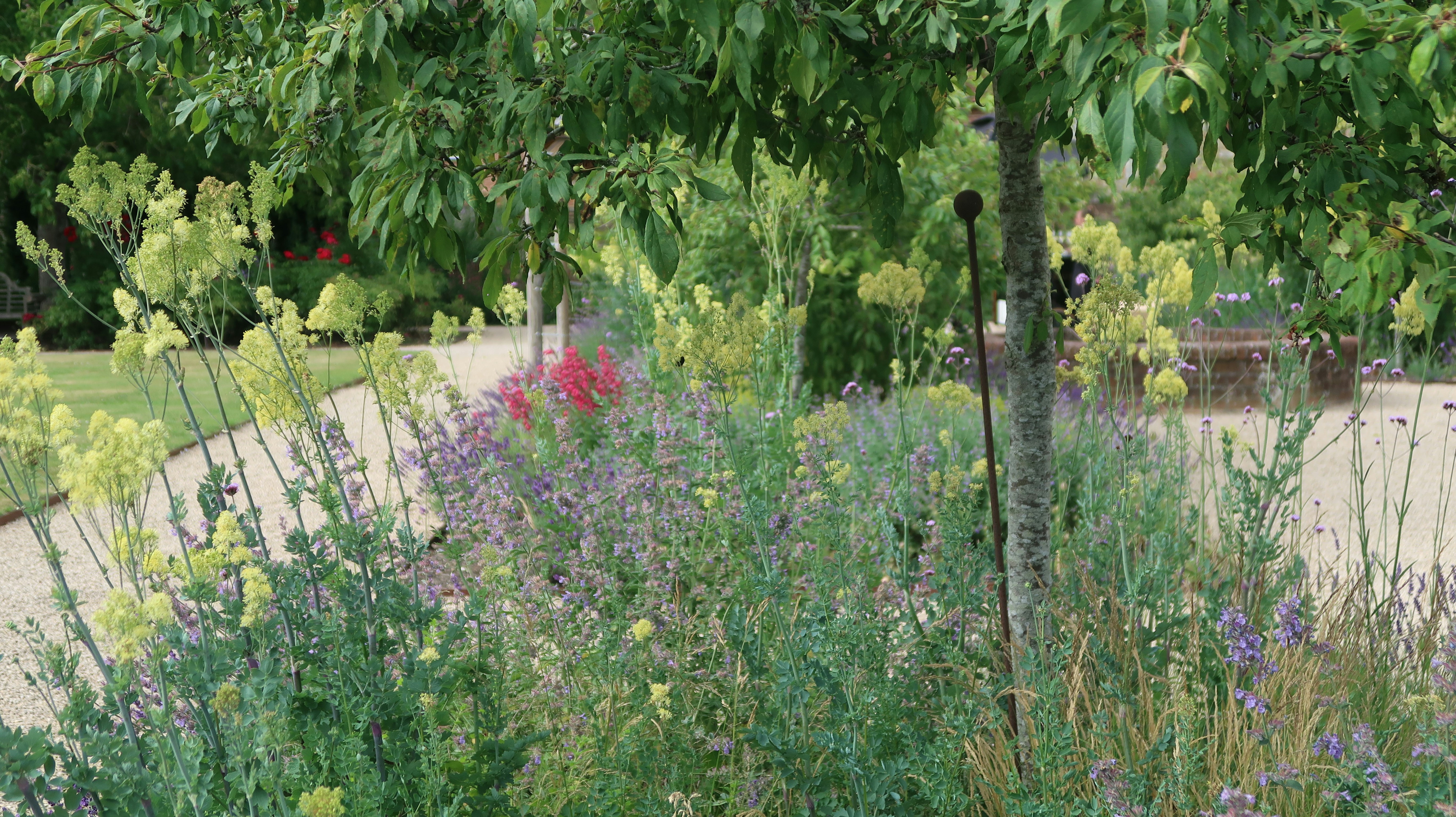 Photo by tanyabarrow