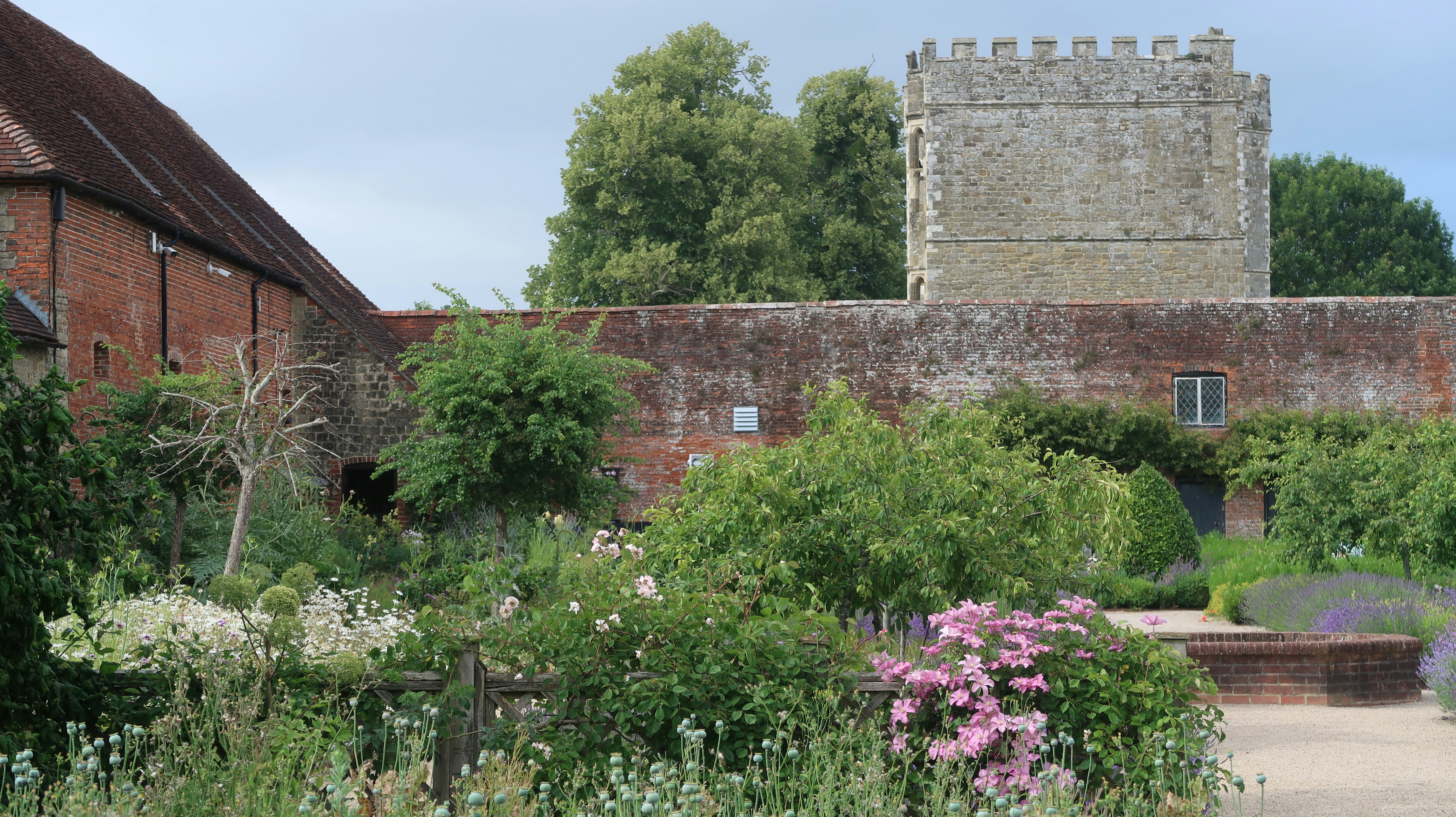 Photo by tanyabarrow