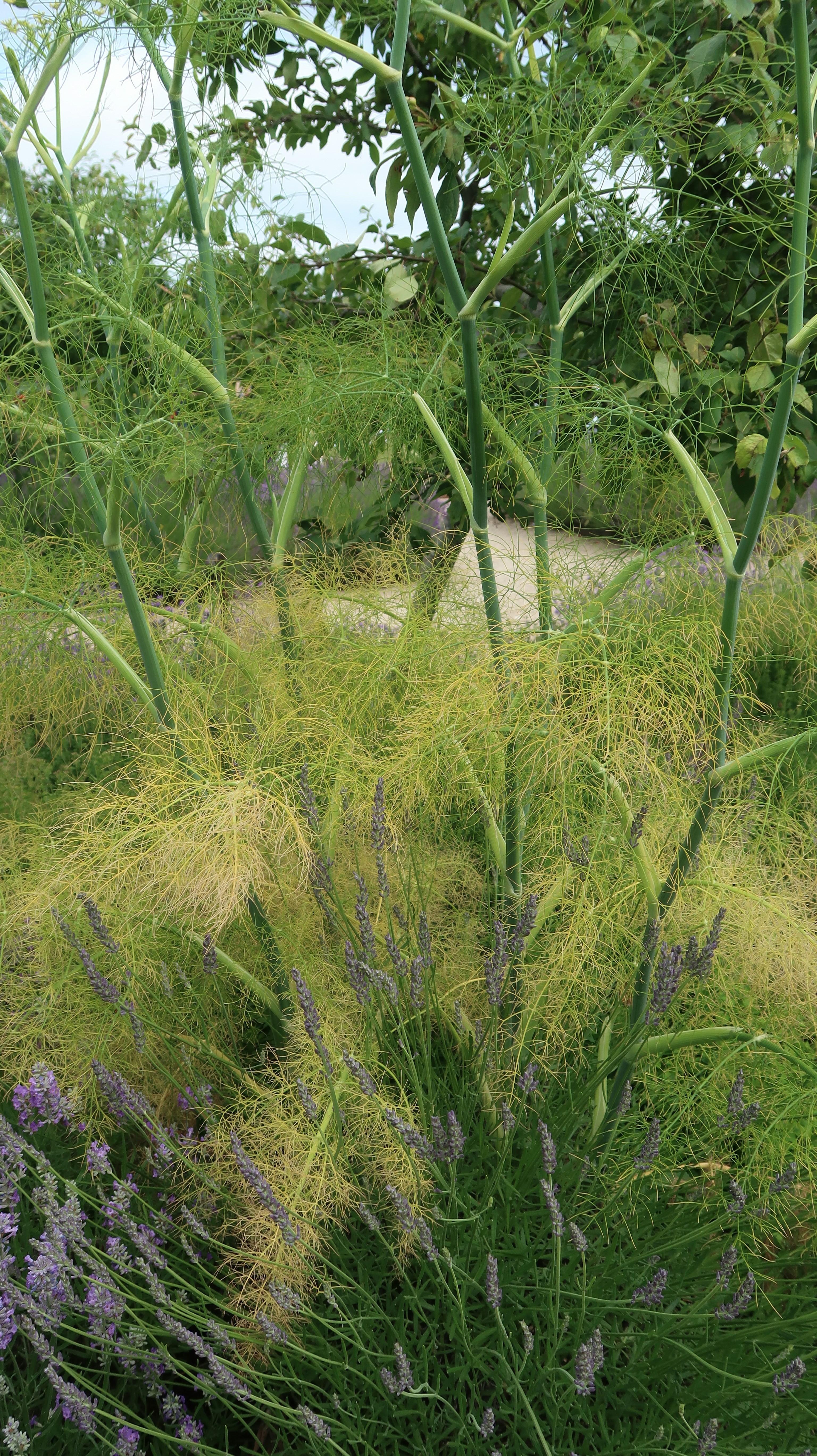 Photo by tanyabarrow