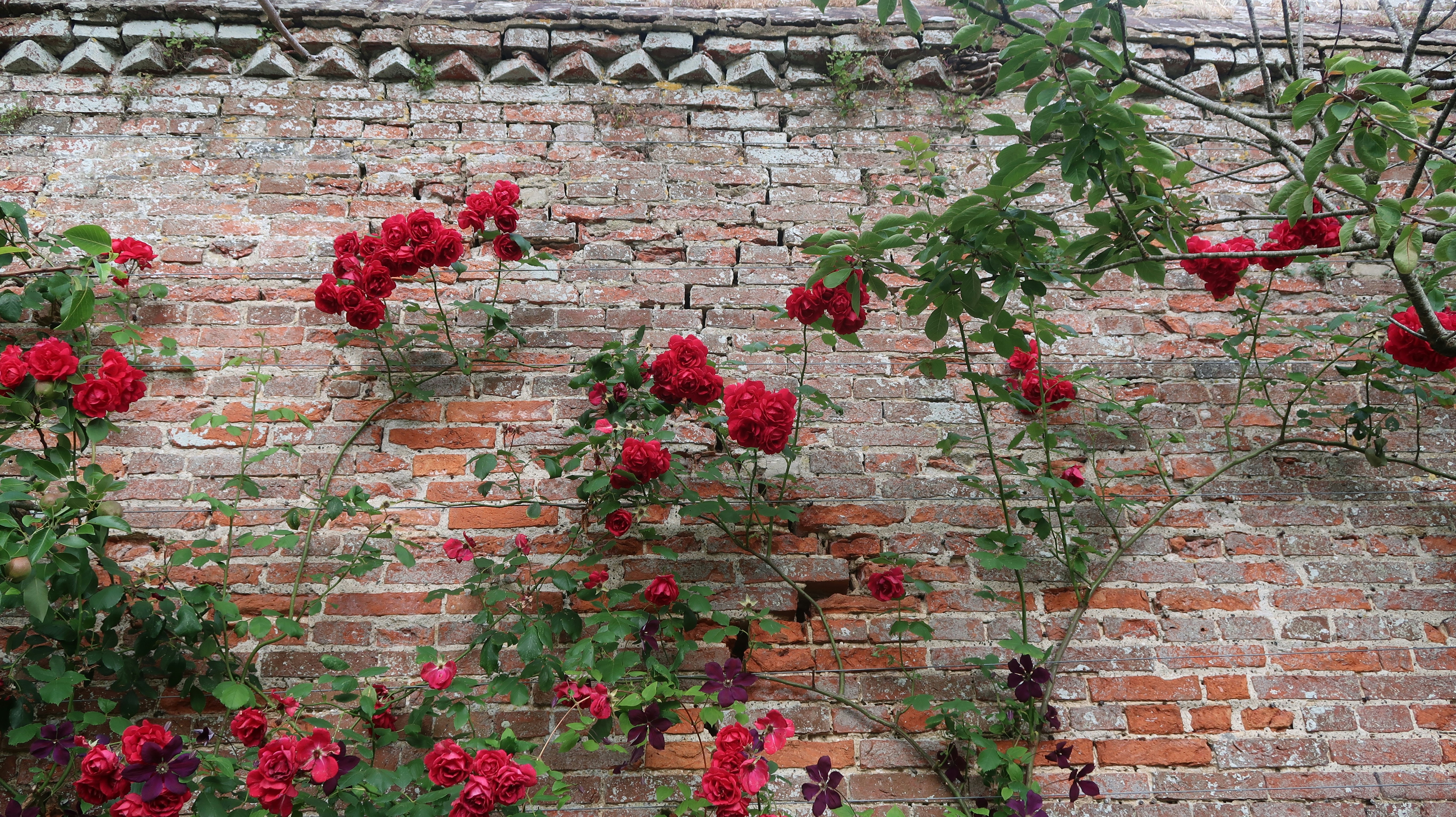 Photo by tanyabarrow