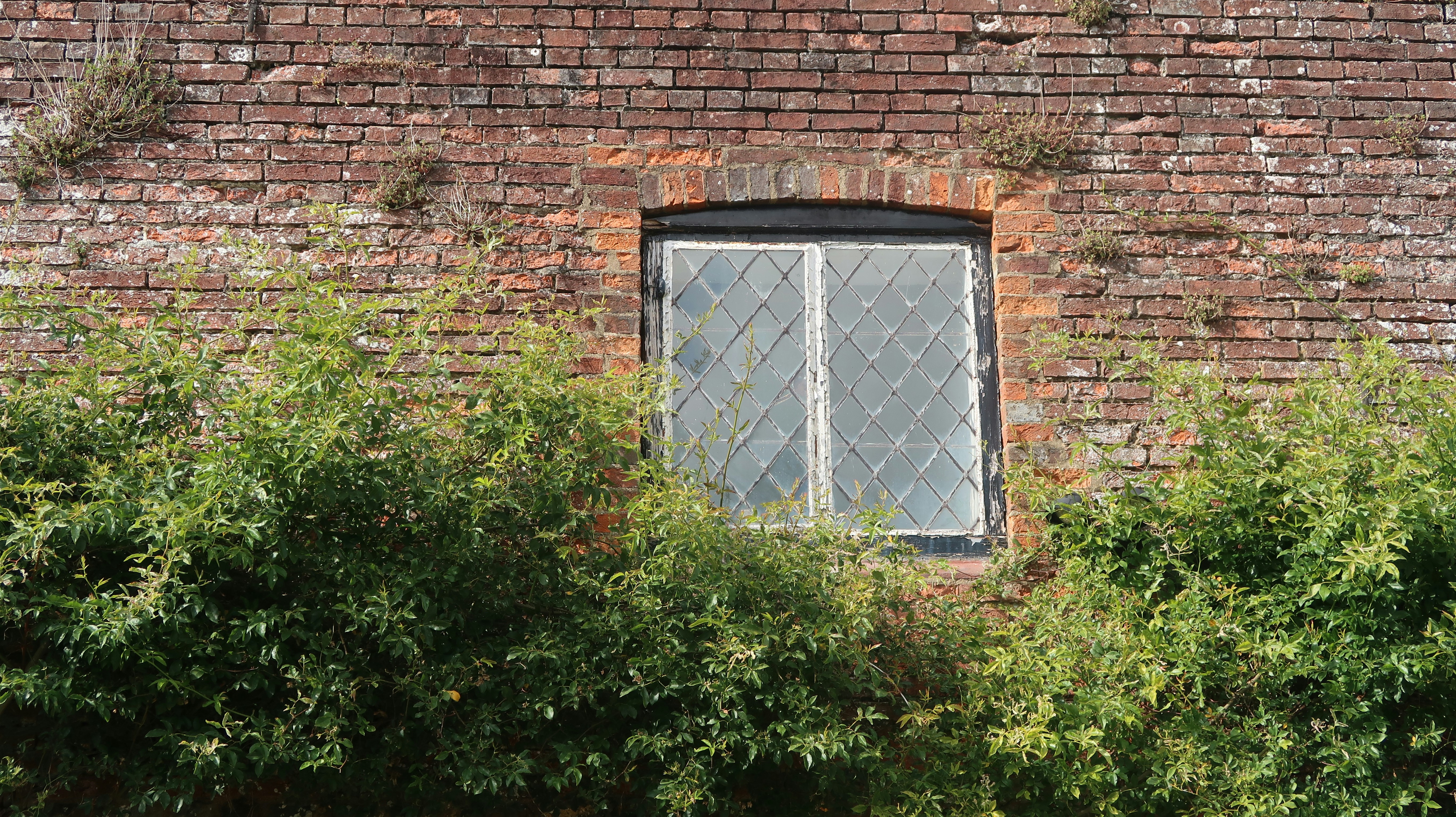 Photo by tanyabarrow